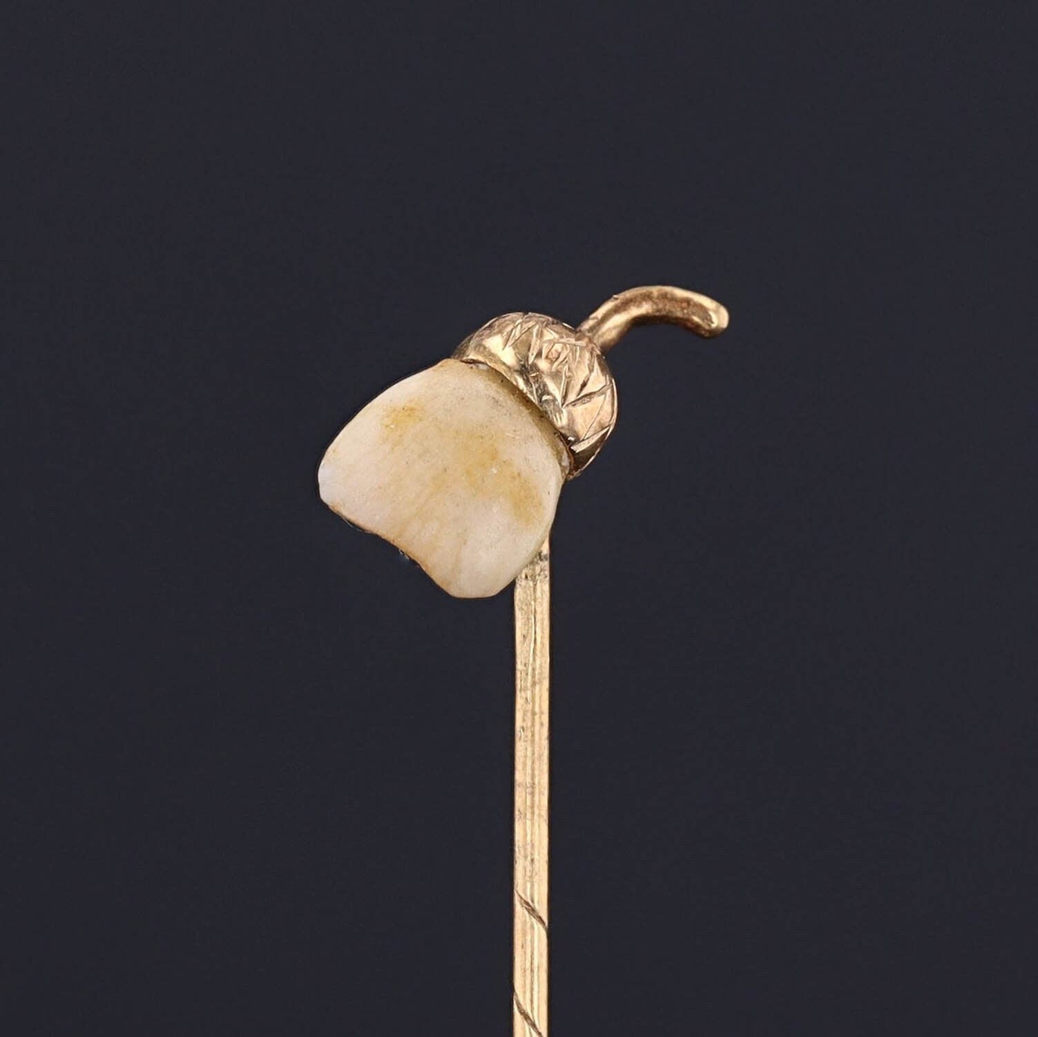 Antique Milk Tooth Acorn Stickpin of 14k Gold