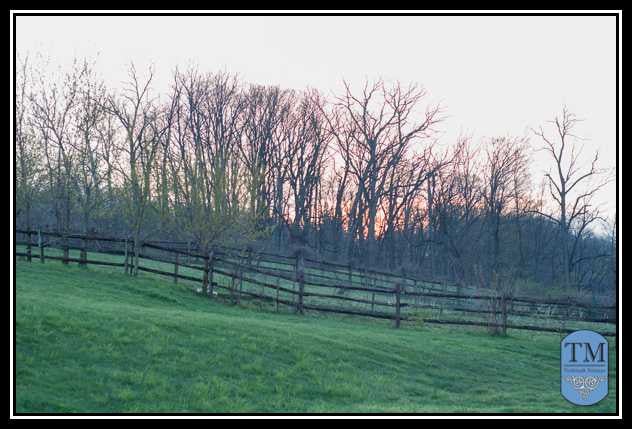 On the Road with TMA: Adamstown Pennsylvania’s Spring Antique Extravaganza - Trademark Antiques