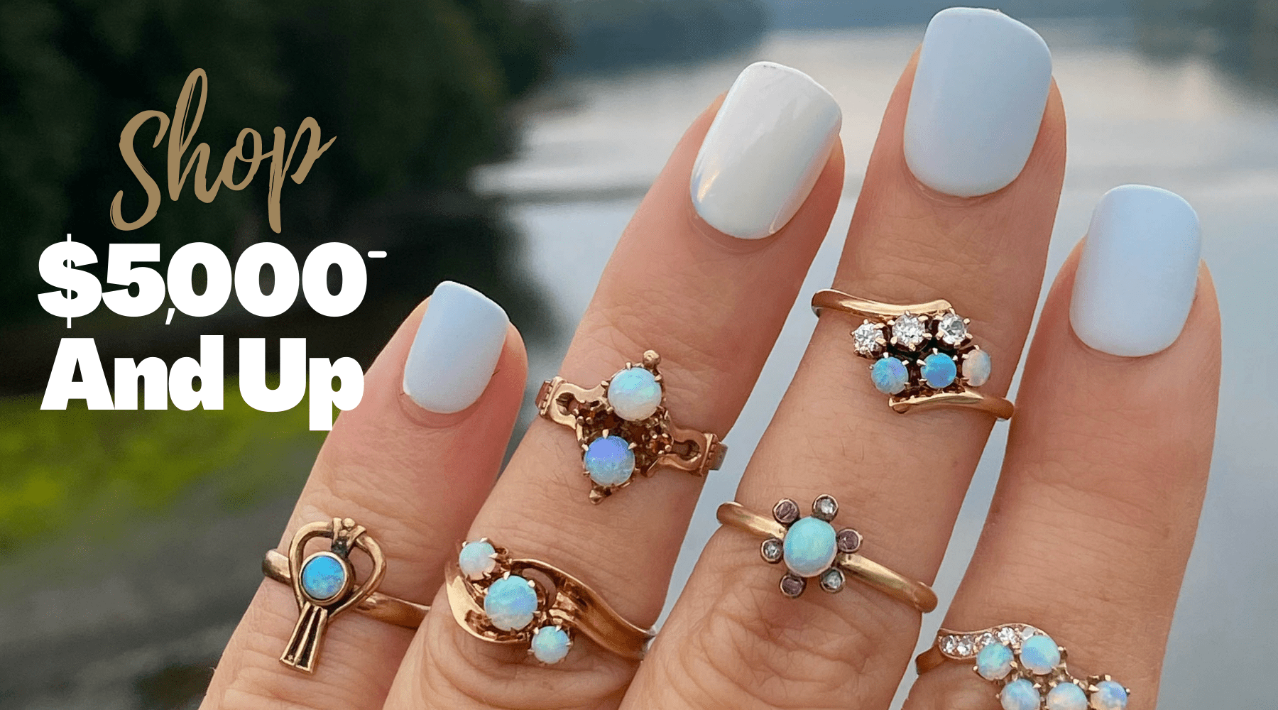 Price - $5,000.00 or Greater