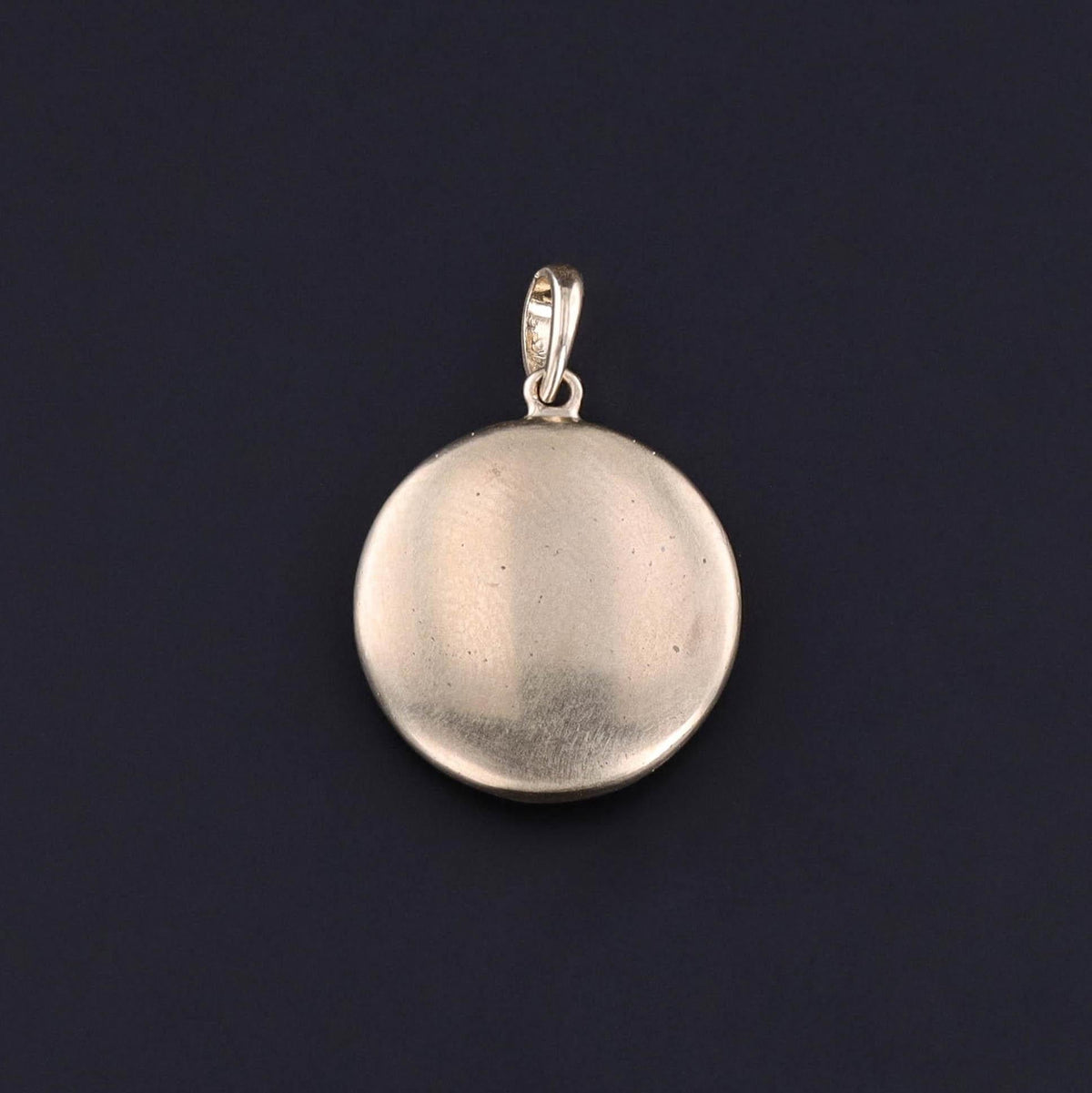 Antique Carved Mother of Pearl Fly Pendant - Trademark Antiques