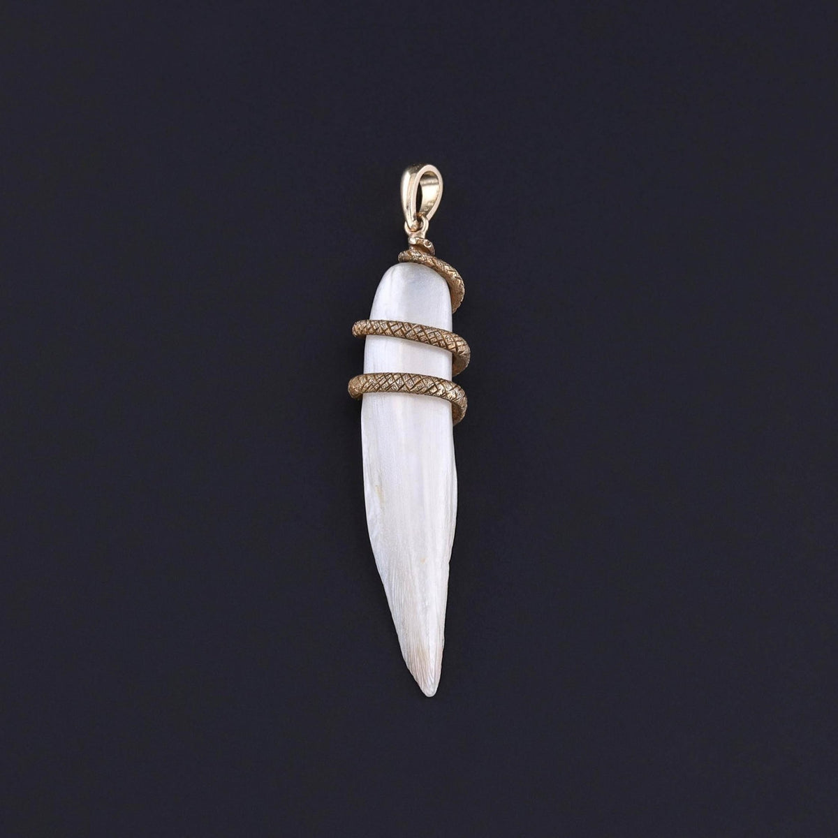 Antique Dog Tooth Pearl Snake Pendant of 10k Gold - Trademark Antiques
