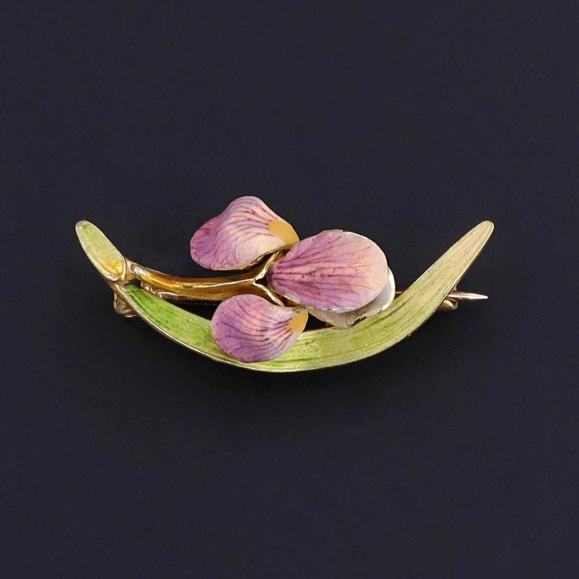 Antique Enamel Iris Brooch of 14k Gold - Trademark Antiques
