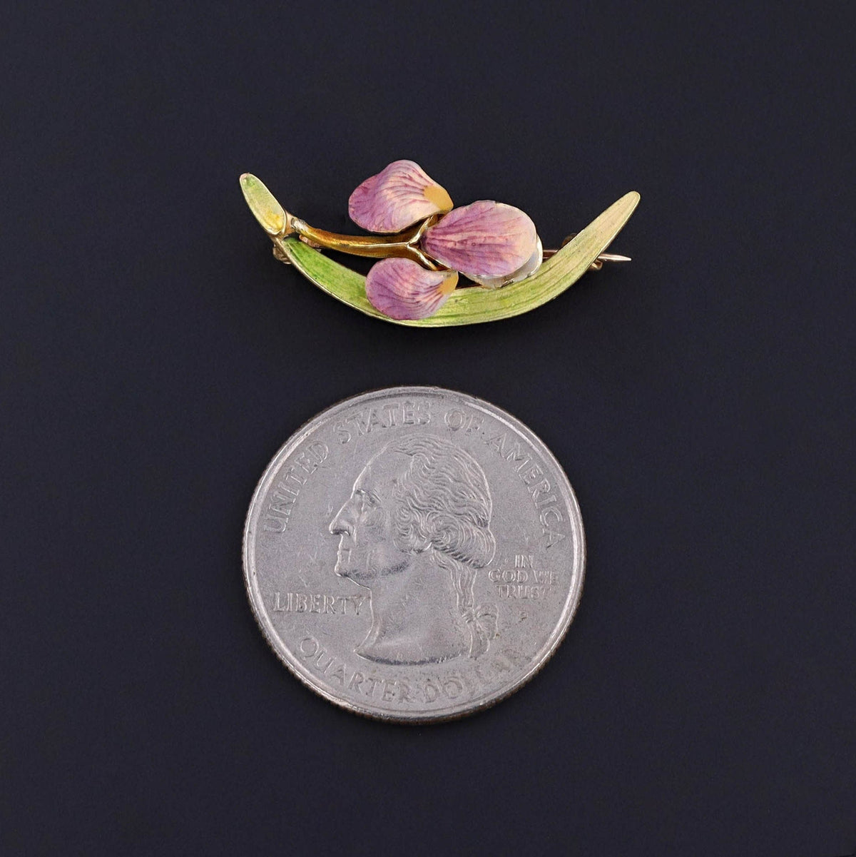 Antique Enamel Iris Brooch of 14k Gold - Trademark Antiques