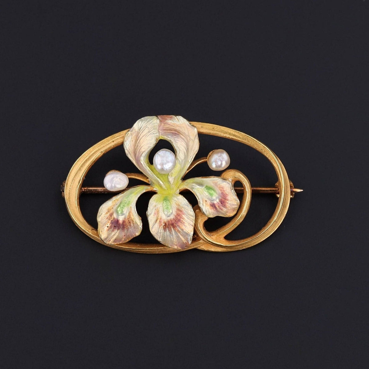 Antique Enamel Iris Flower Brooch of 14k Gold - Trademark Antiques