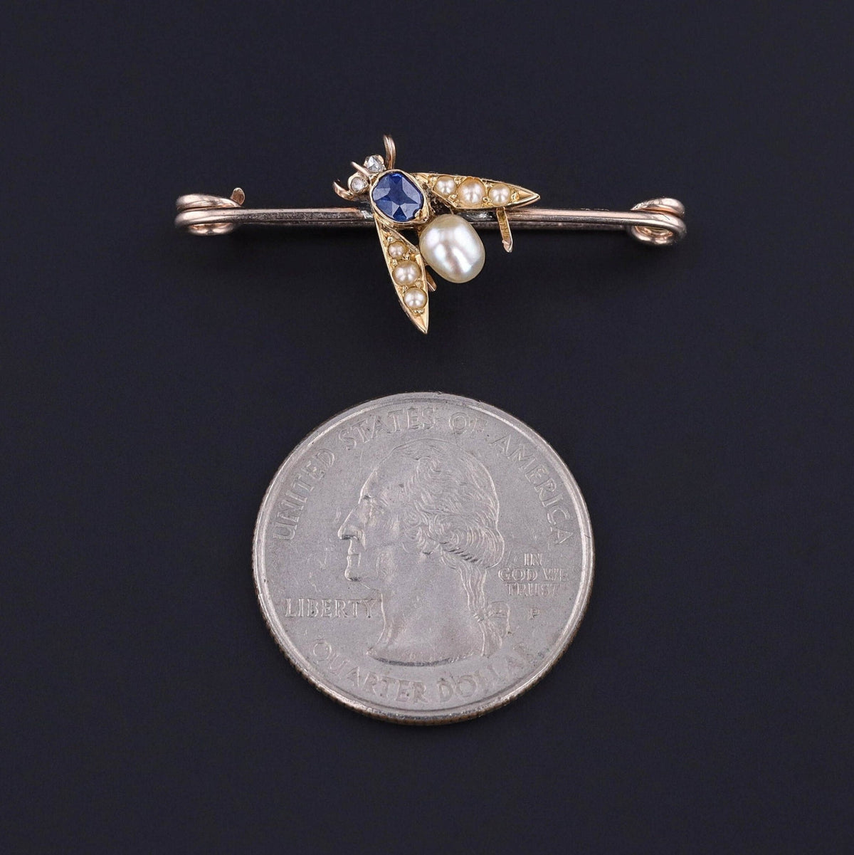 Antique Insect Brooch of 14k Gold - Trademark Antiques