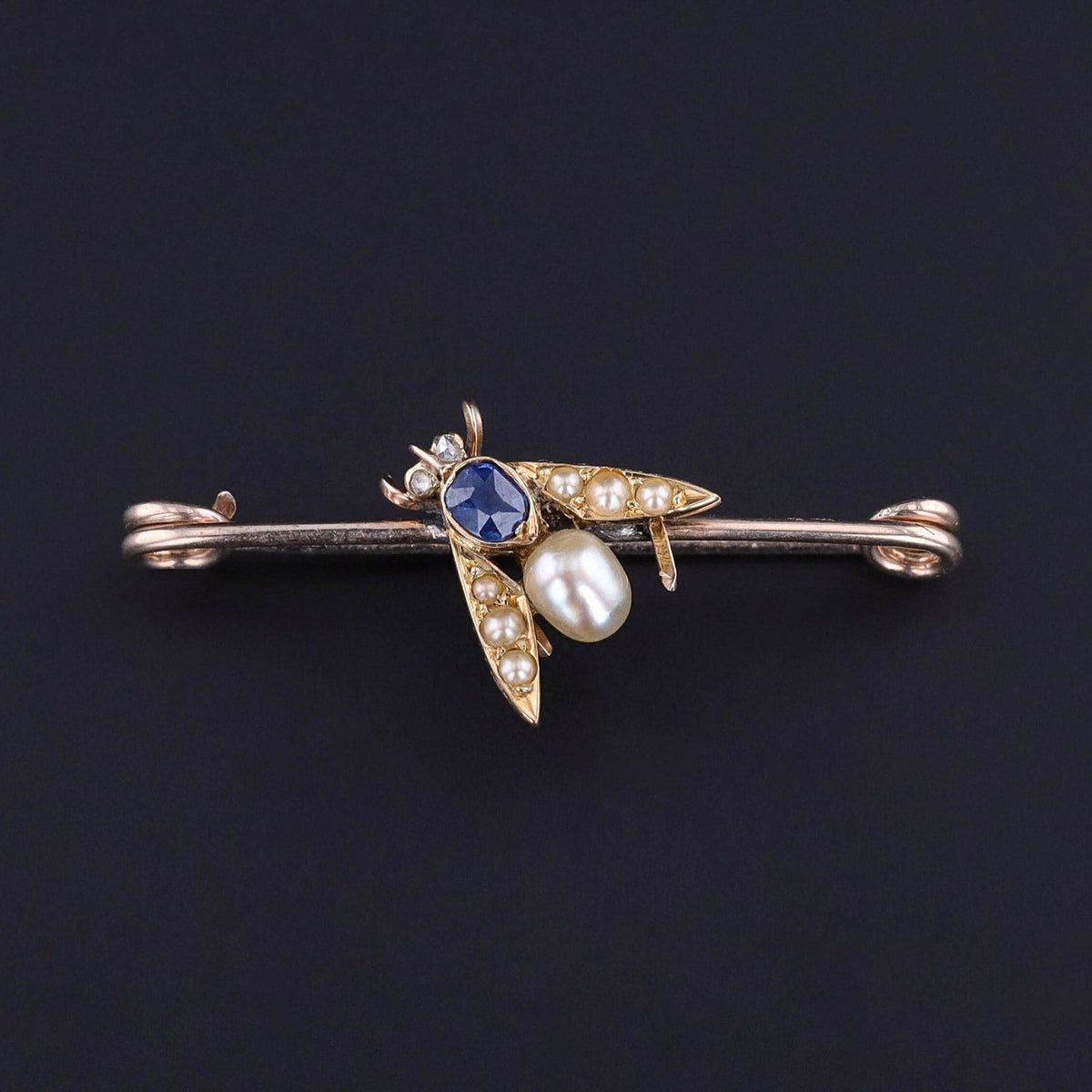 Antique Insect Brooch of 14k Gold - Trademark Antiques