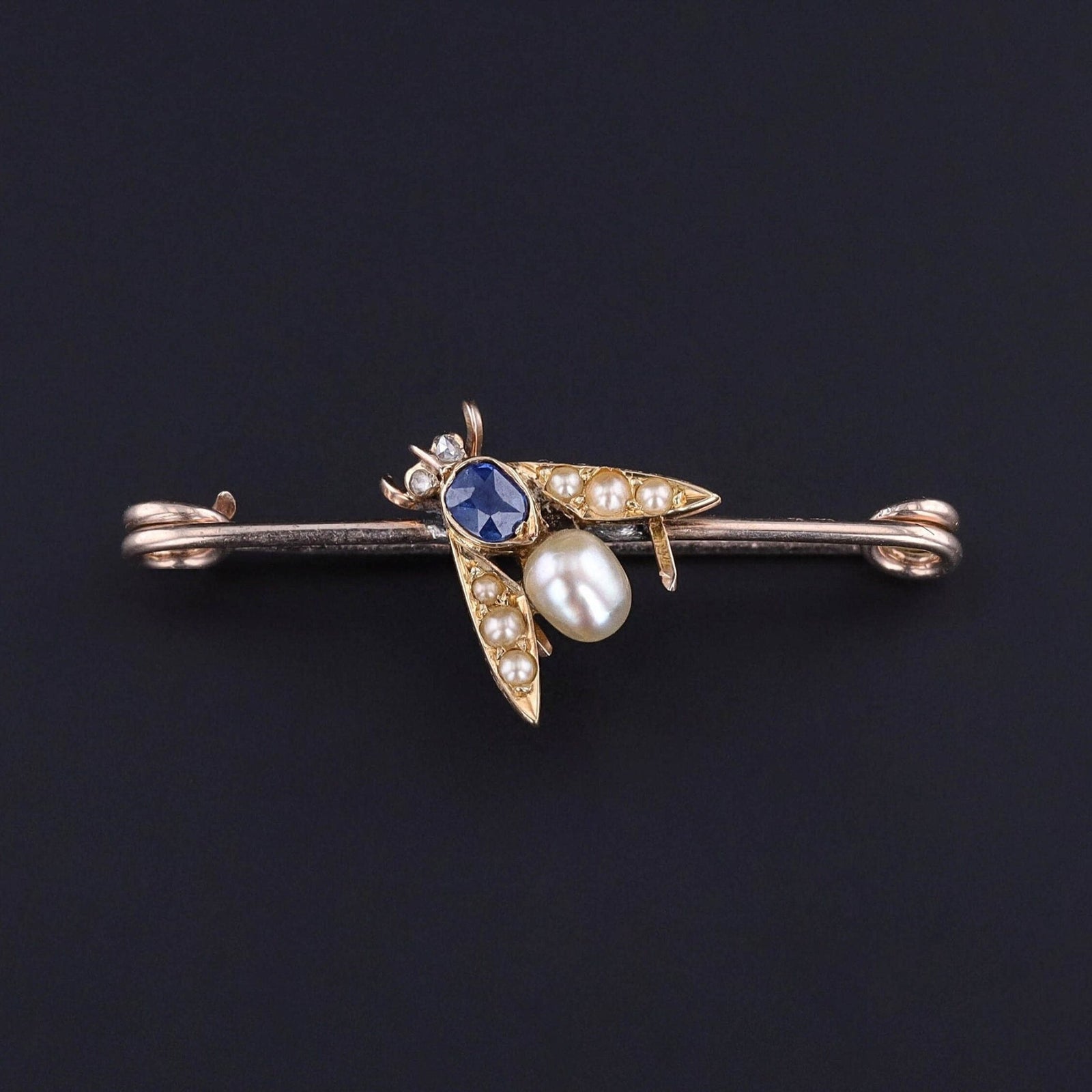 Antique Insect Brooch of 14k Gold - Trademark Antiques