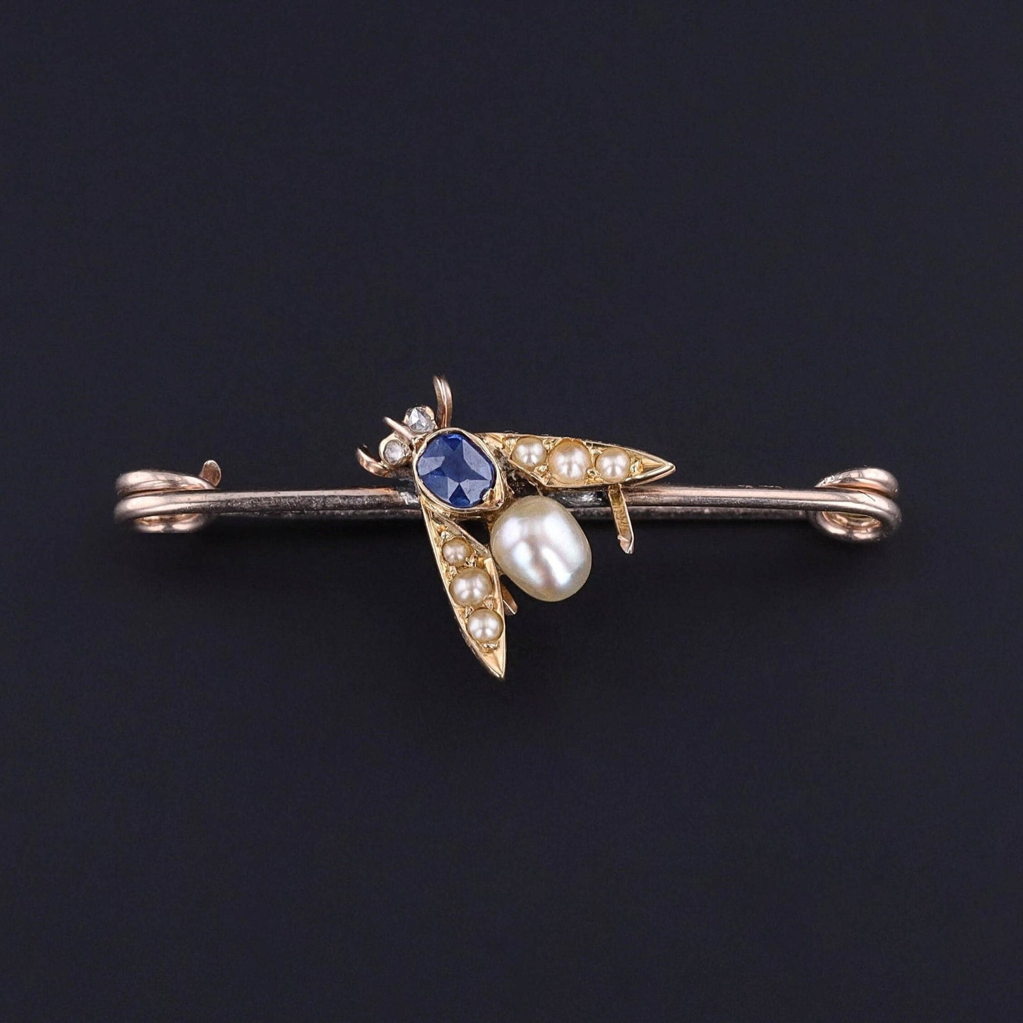 Antique Insect Brooch of 14k Gold - Trademark Antiques