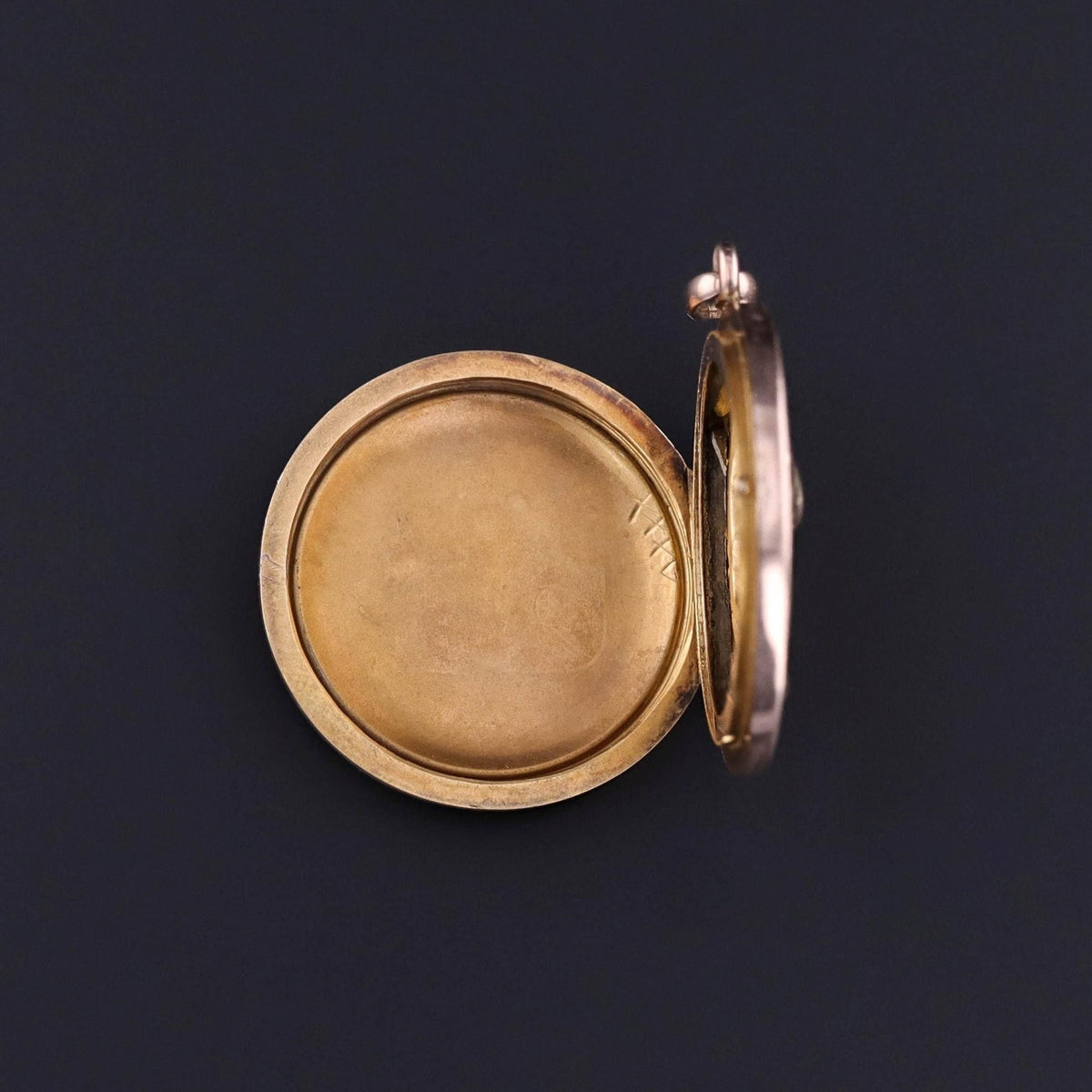 Antique Lion and Snake Locket of 10k Gold - Trademark Antiques