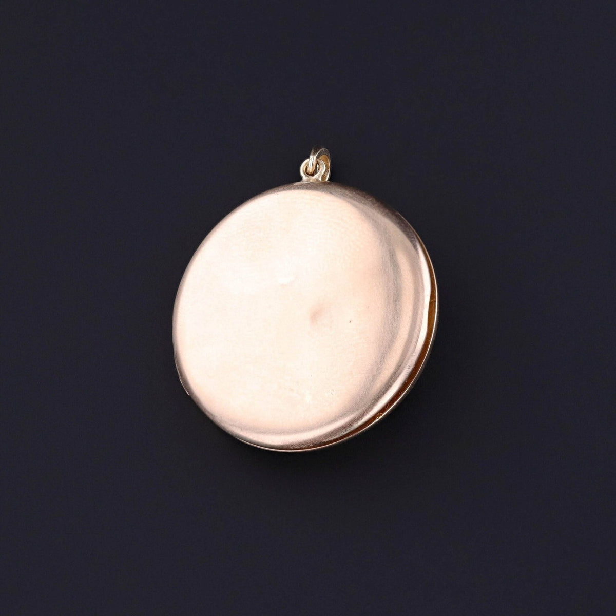 Antique Lion Locket of 10k Gold - Trademark Antiques