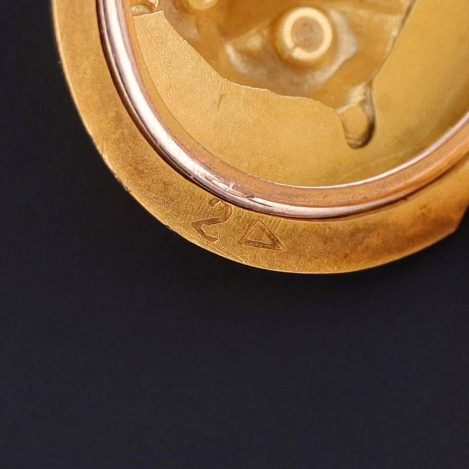 Antique Lion Locket of 10k Gold - Trademark Antiques