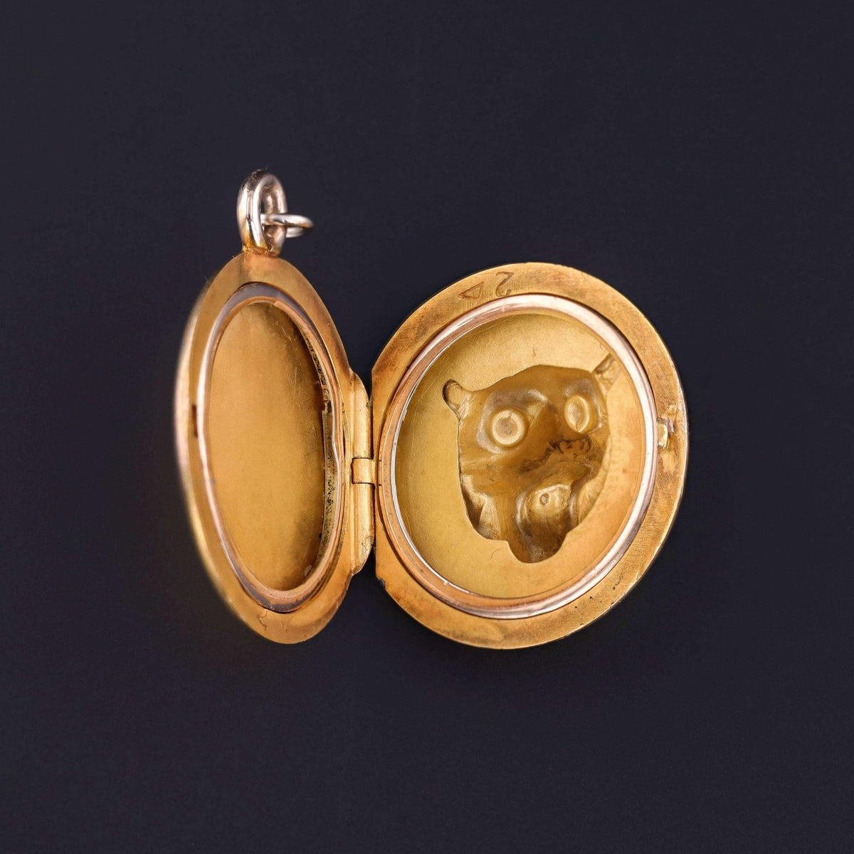 Antique Lion Locket of 10k Gold - Trademark Antiques