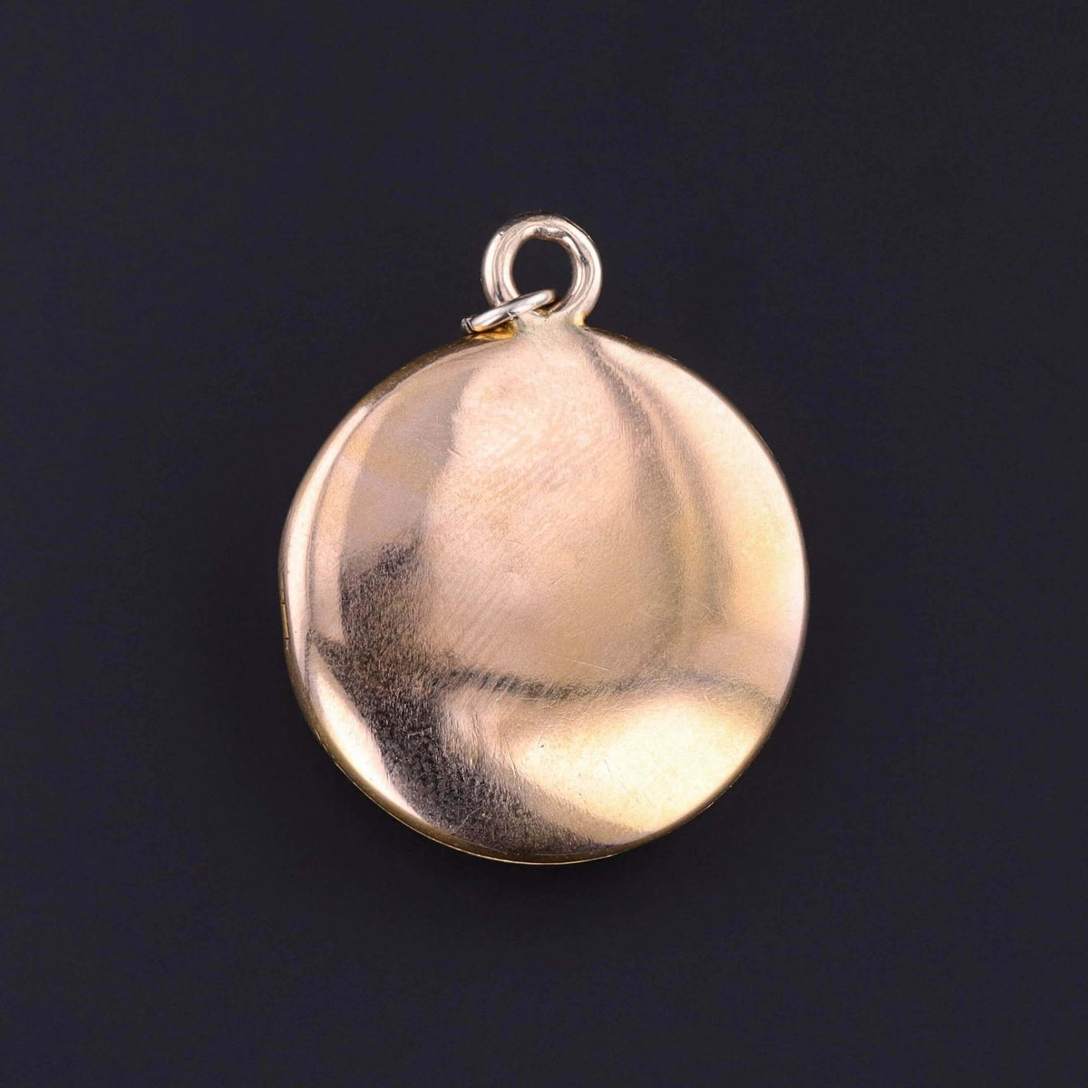 Antique Lion Locket of 10k Gold - Trademark Antiques