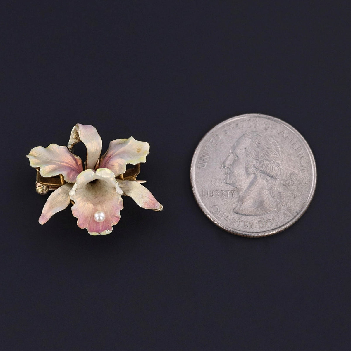 Antique Orchid Brooch of 14k Gold by Whiteside &amp; Blank - Trademark Antiques