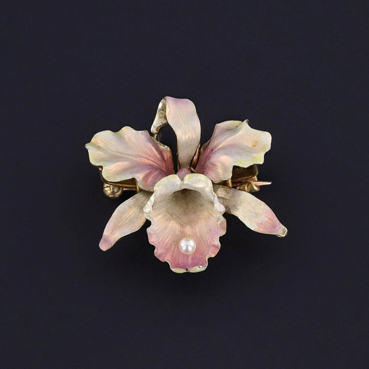 Antique Orchid Brooch of 14k Gold by Whiteside &amp; Blank - Trademark Antiques