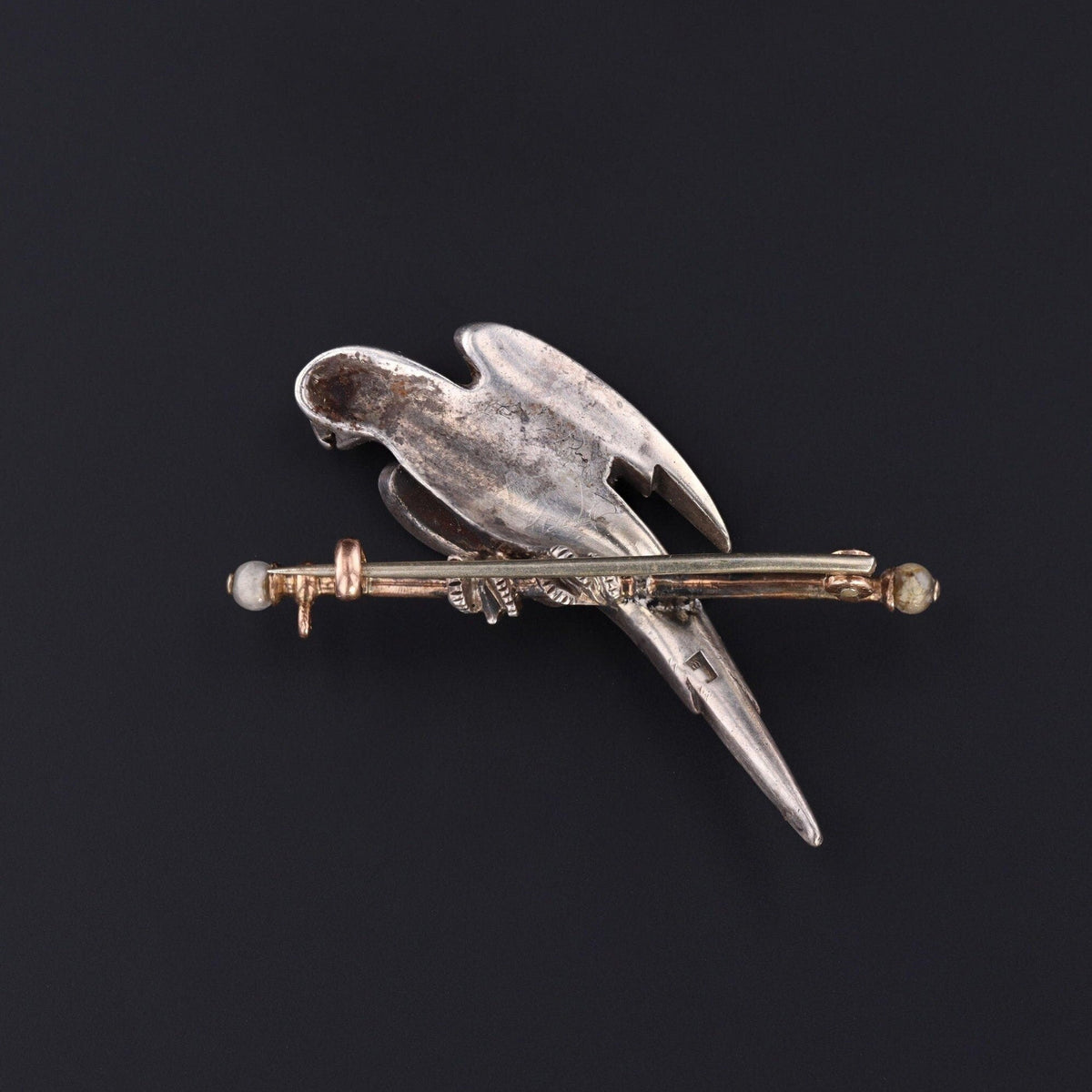 Antique Parrot Brooch with Paste Accents in Silver - Trademark Antiques