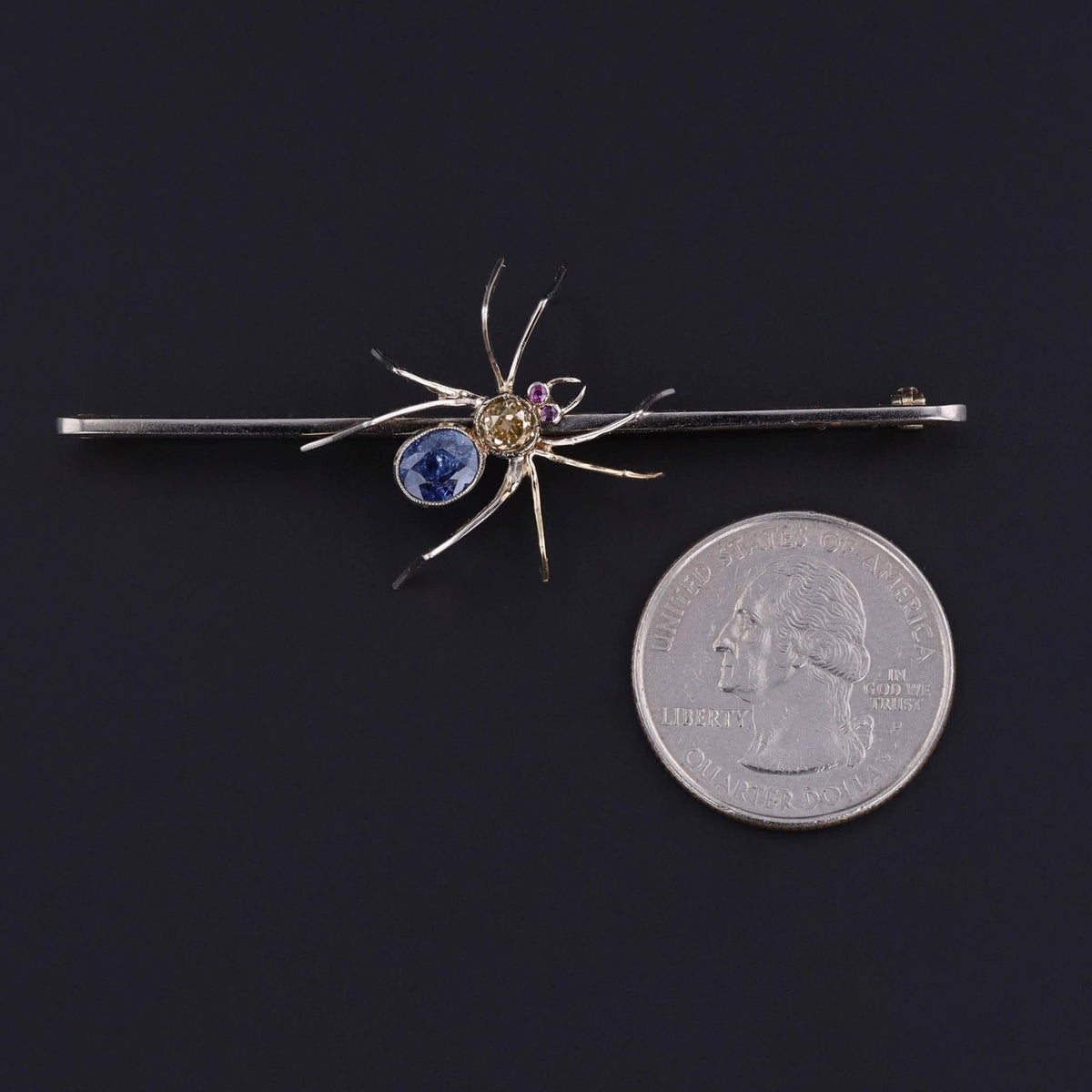 Antique Sapphire Spider Brooch of Platinum &amp; 14k Gold - Trademark Antiques