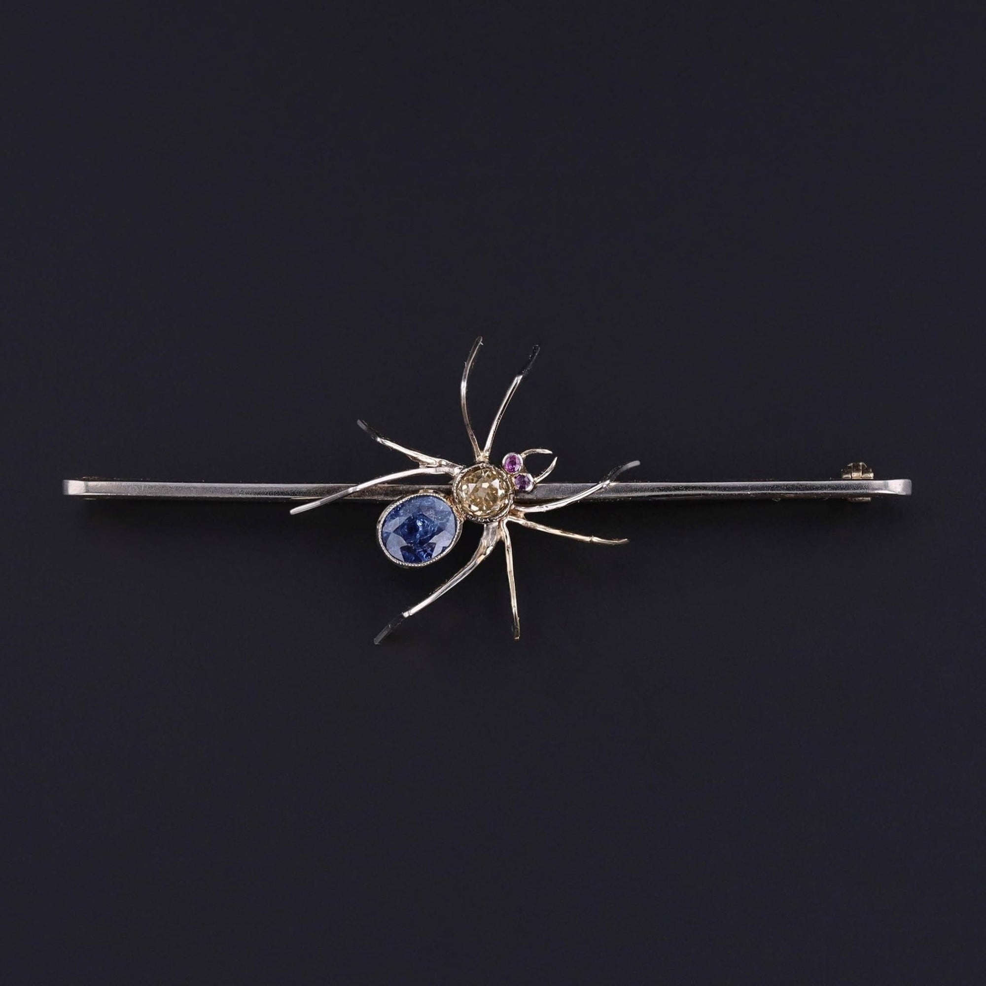 Antique Sapphire Spider Brooch of Platinum & 14k Gold - Trademark Antiques