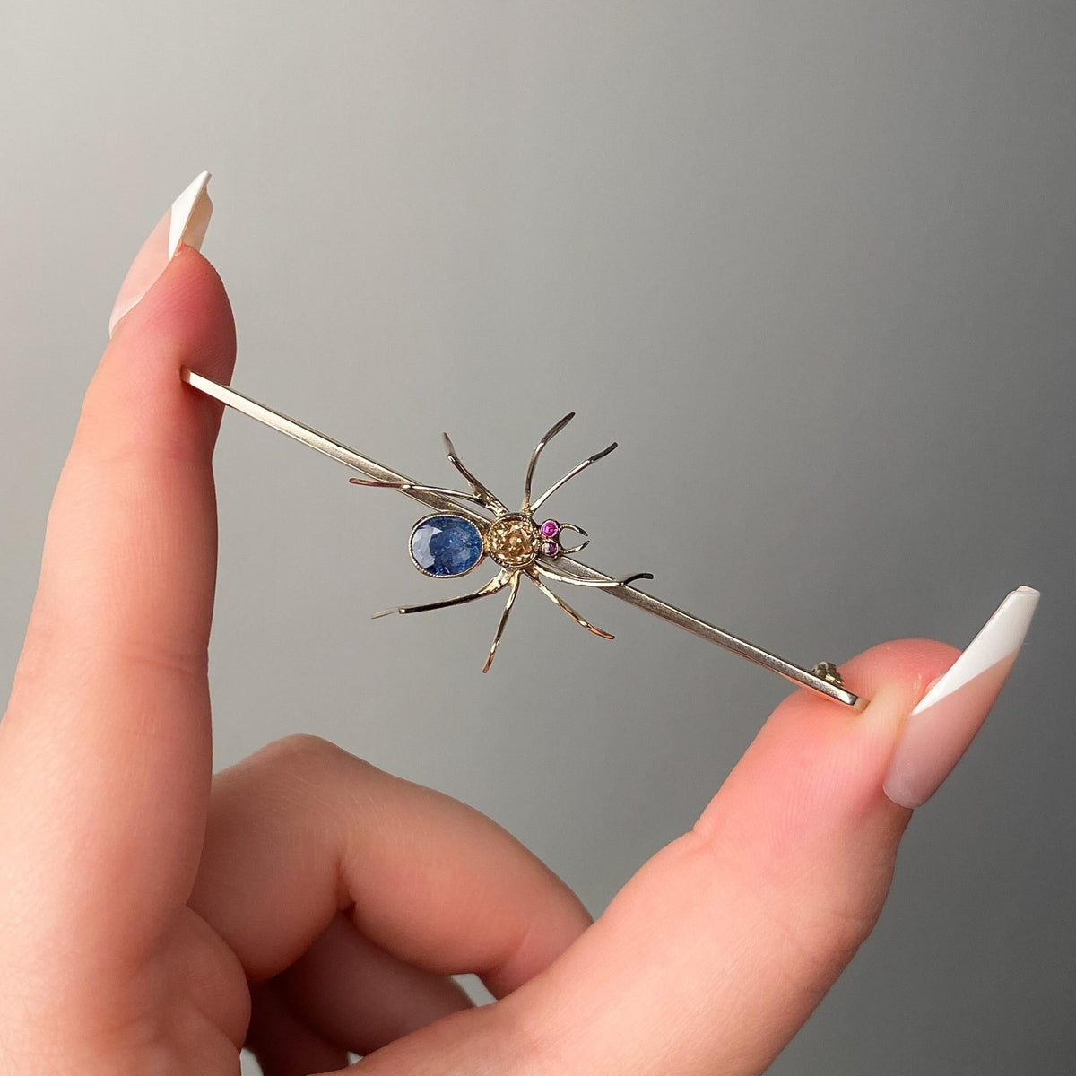 Antique Sapphire Spider Brooch of Platinum &amp; 14k Gold - Trademark Antiques