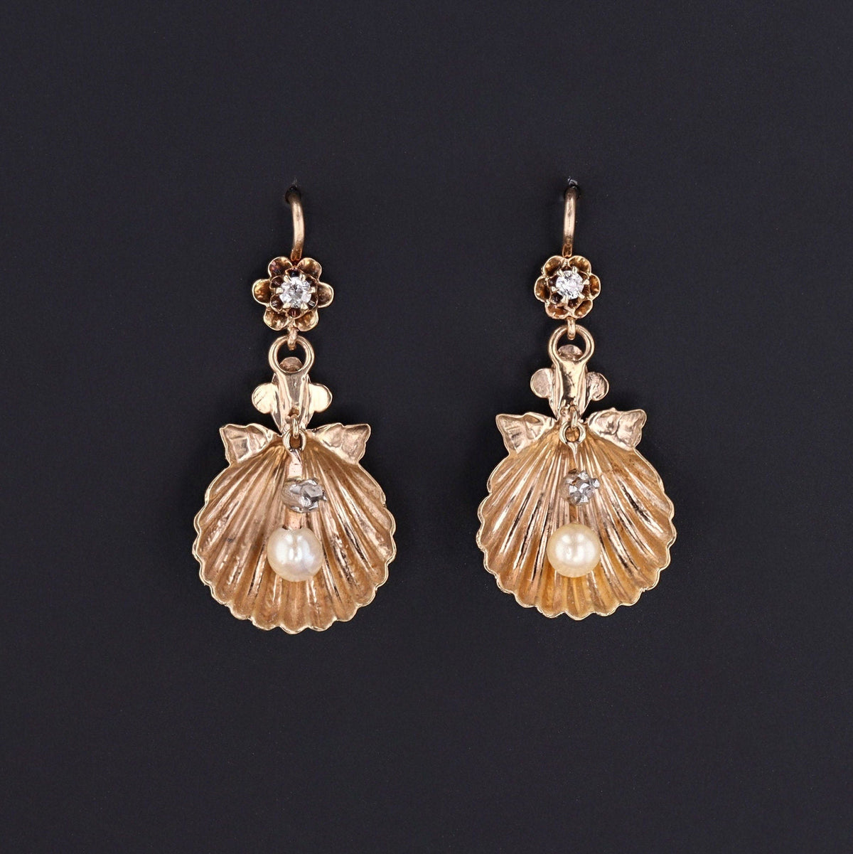Antique Shell Earrings of 14k Gold - Trademark Antiques