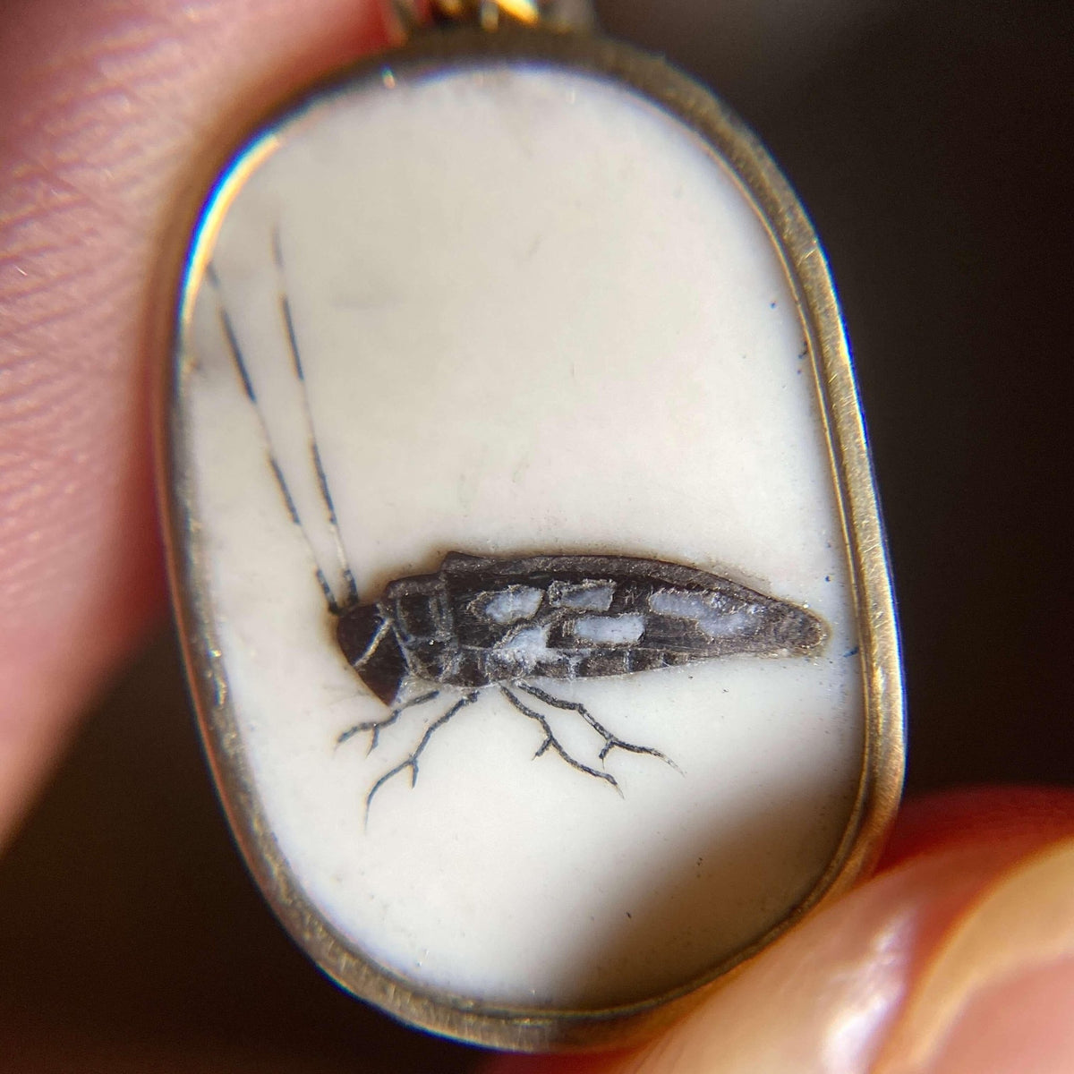 Antique Shibayama Insect Pendant of 14k Gold - Trademark Antiques