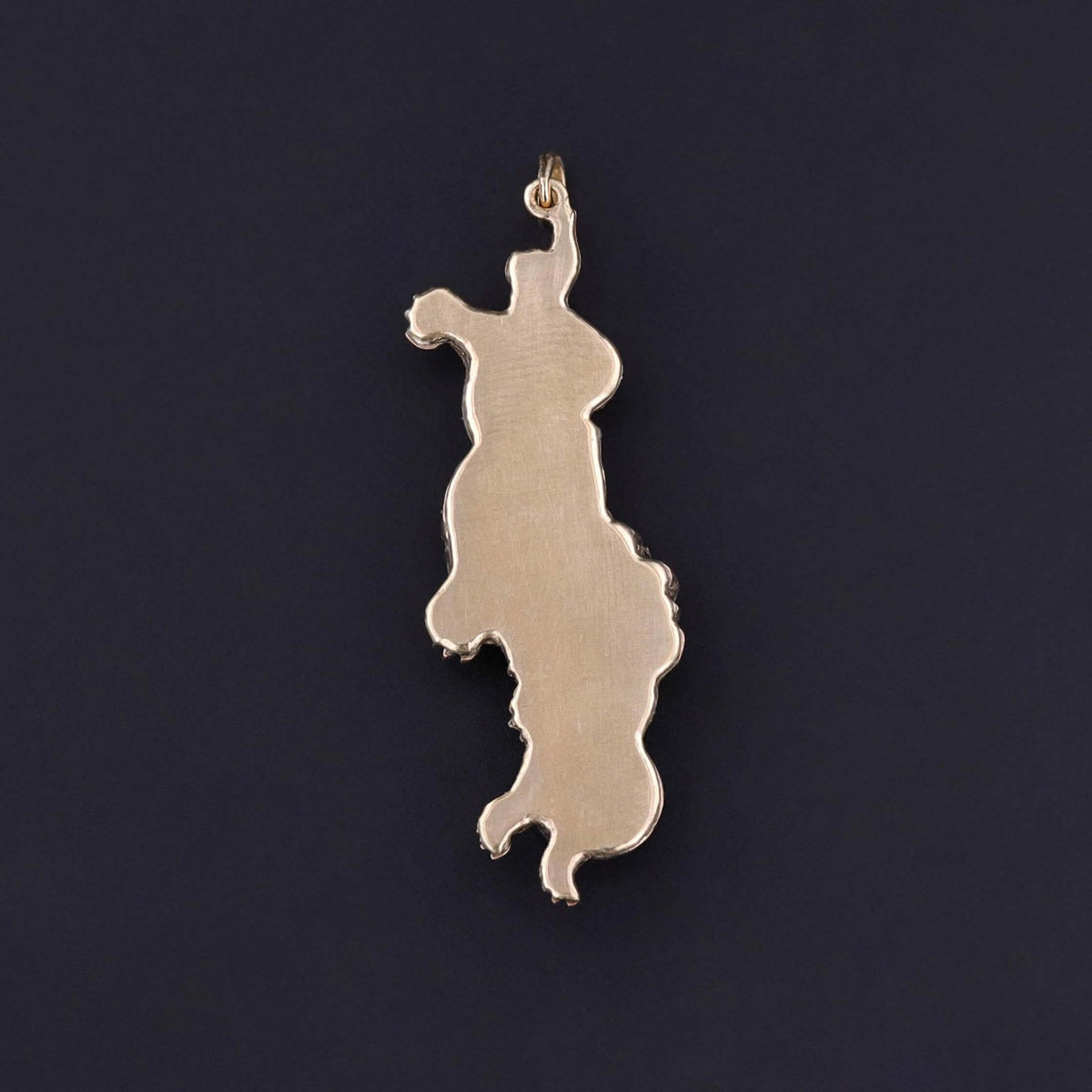 Antique Shibuichi Jaguar Pendant Set in 14k Gold - Trademark Antiques