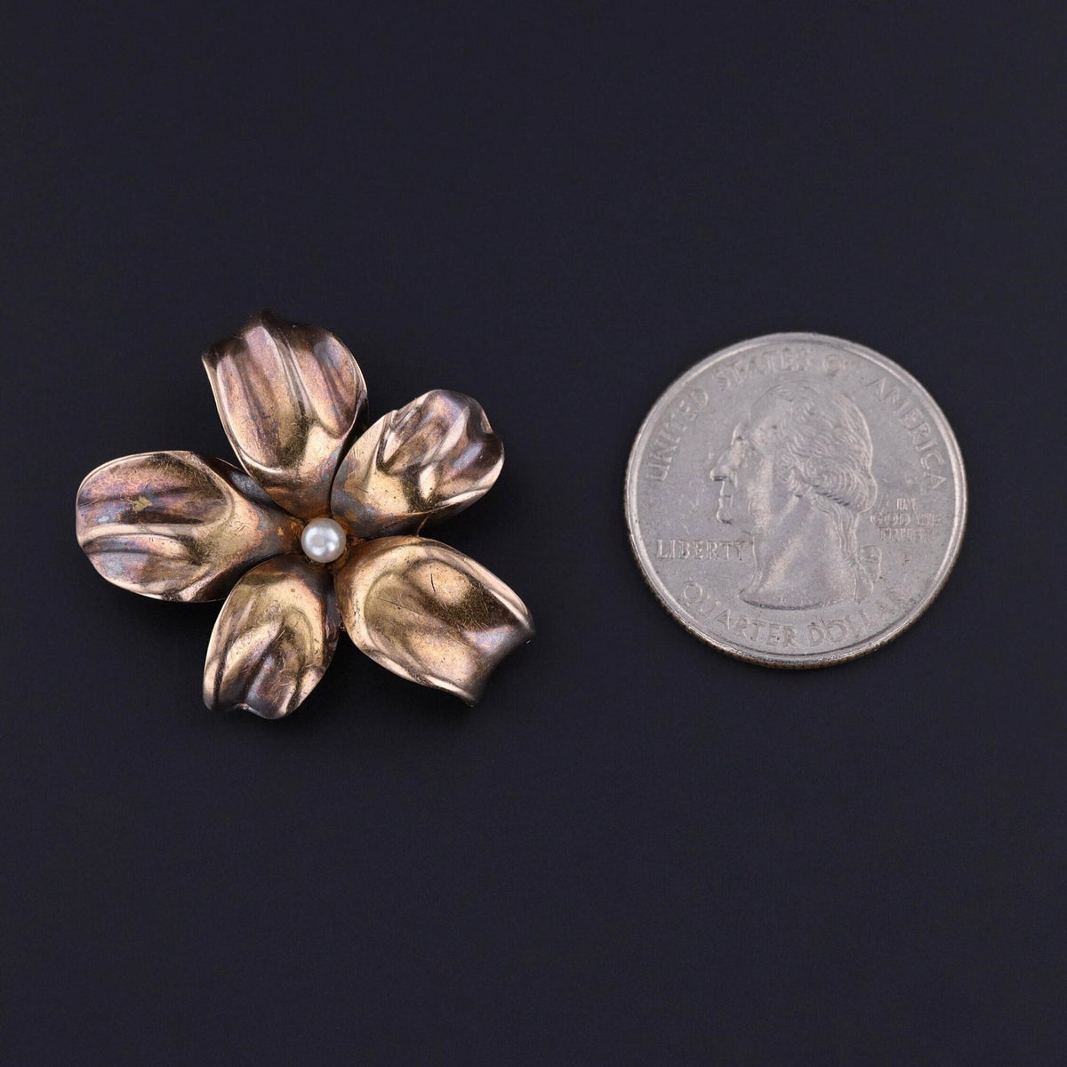 Antique Violet Pendant Brooch of 14k Gold - Trademark Antiques