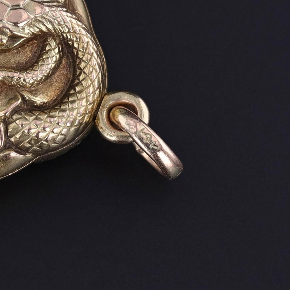 Art Nouveau Snake Locket of 14k Gold - Trademark Antiques
