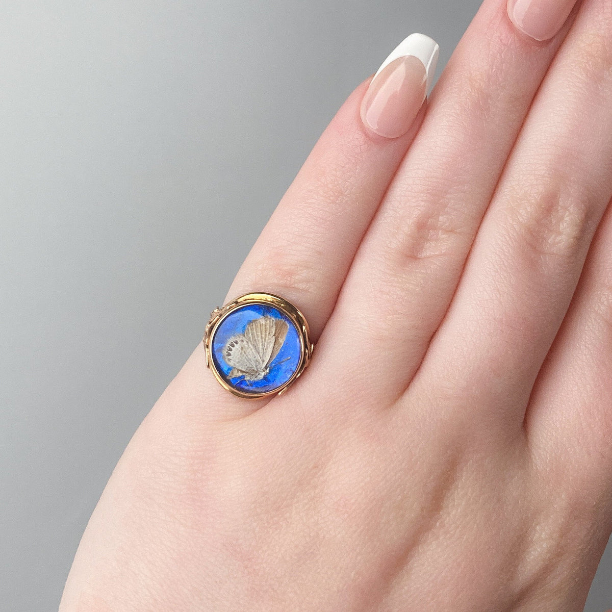 On HOLD - Antique Morpho Butterfly Ring of 14k Gold - Trademark Antiques