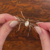 Antique Pearl Spider Brooch of 10k Gold