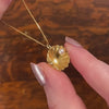 Vintage Shell Charm of 15ct Gold