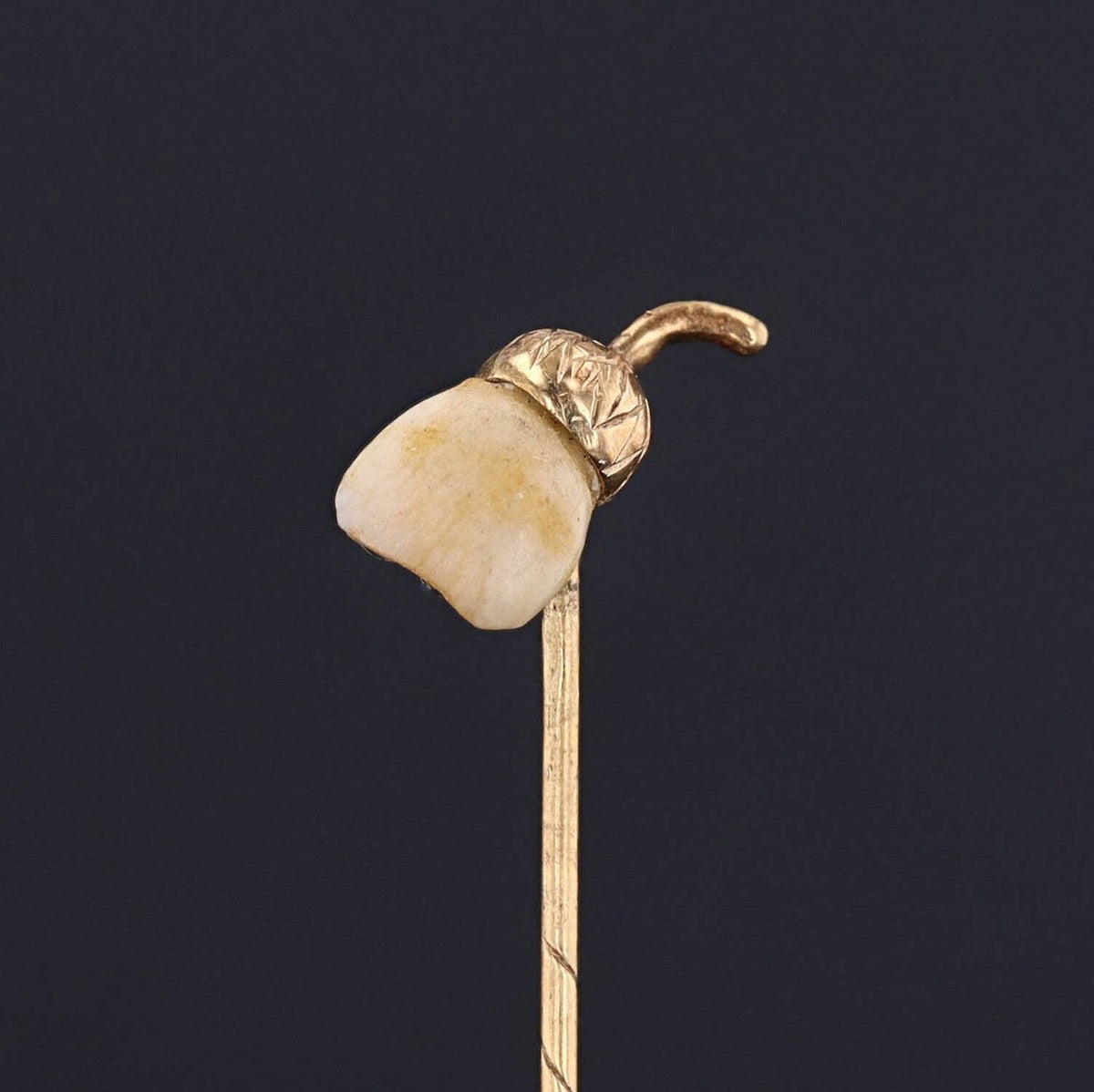 RESERVED - Antique Milk Tooth Acorn Stickpin of 14k Gold - Trademark Antiques