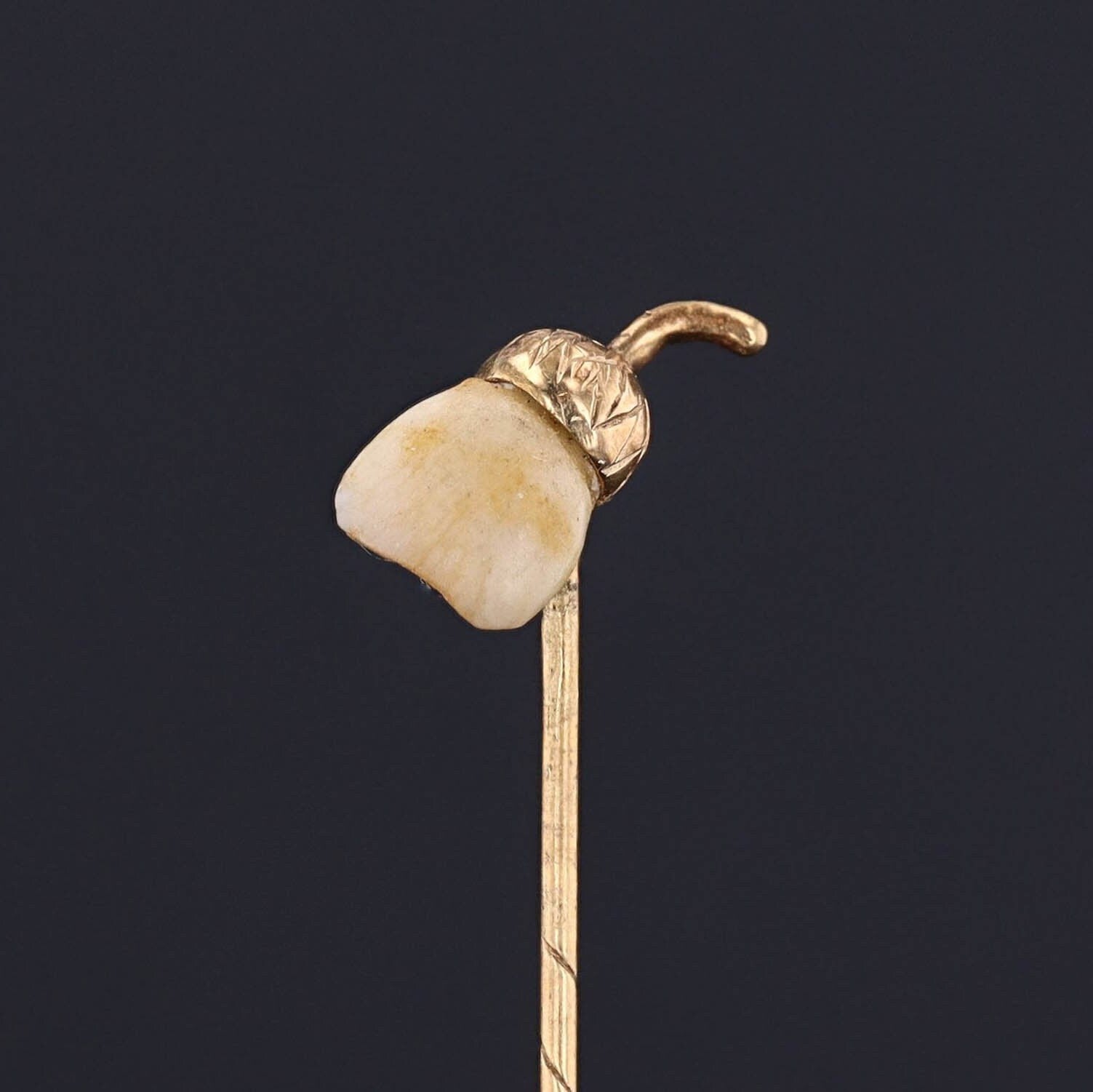 RESERVED - Antique Milk Tooth Acorn Stickpin of 14k Gold - Trademark Antiques