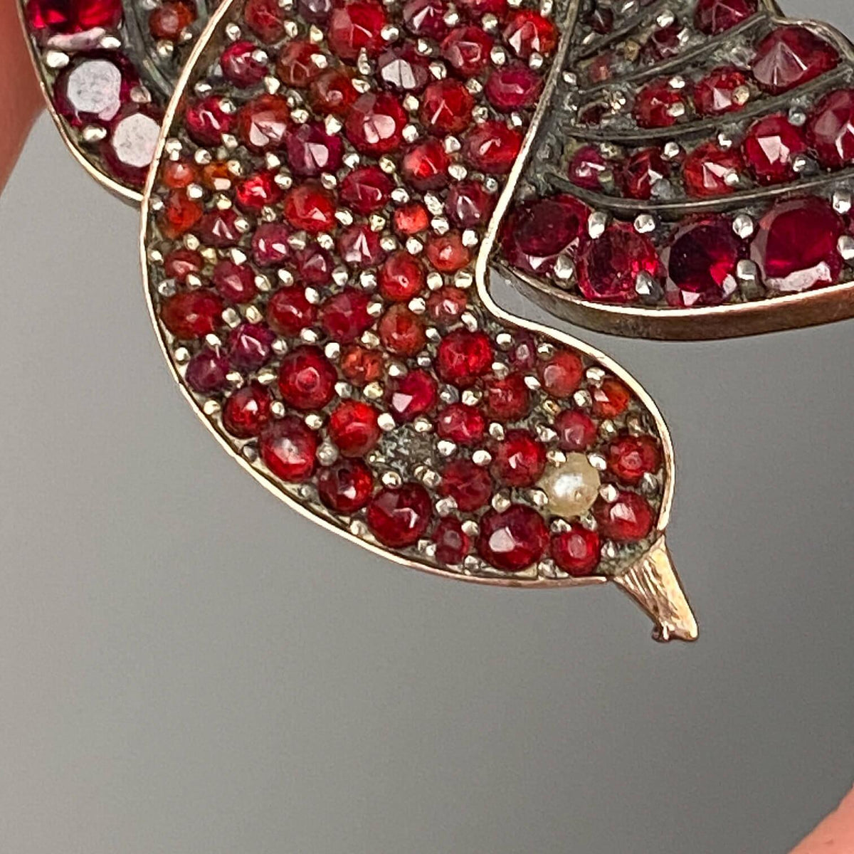 Victorian Bohemian Garnet Bird Brooch - Trademark Antiques