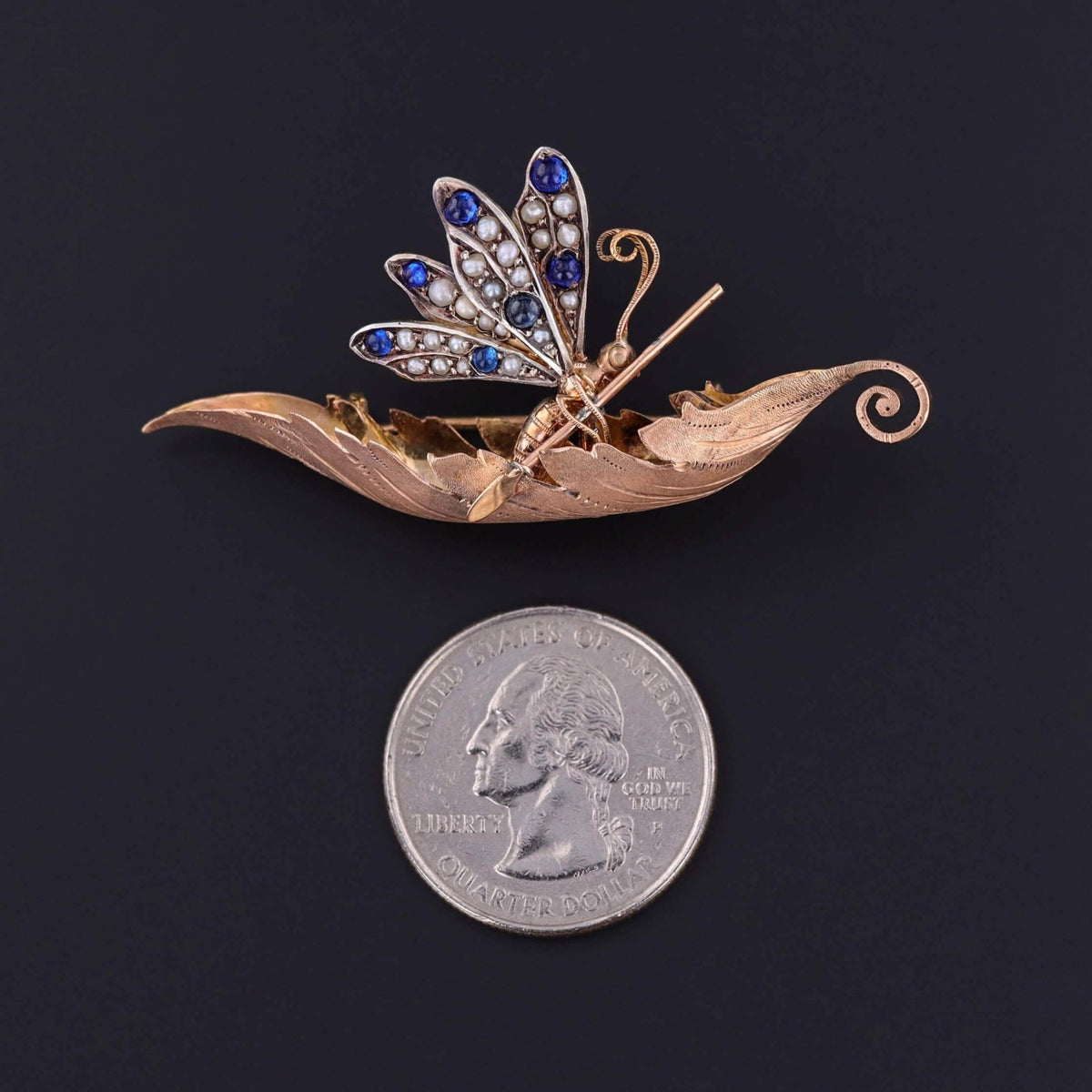 Victorian Butterfly Earrings and Brooch Set in Original Box - Trademark Antiques