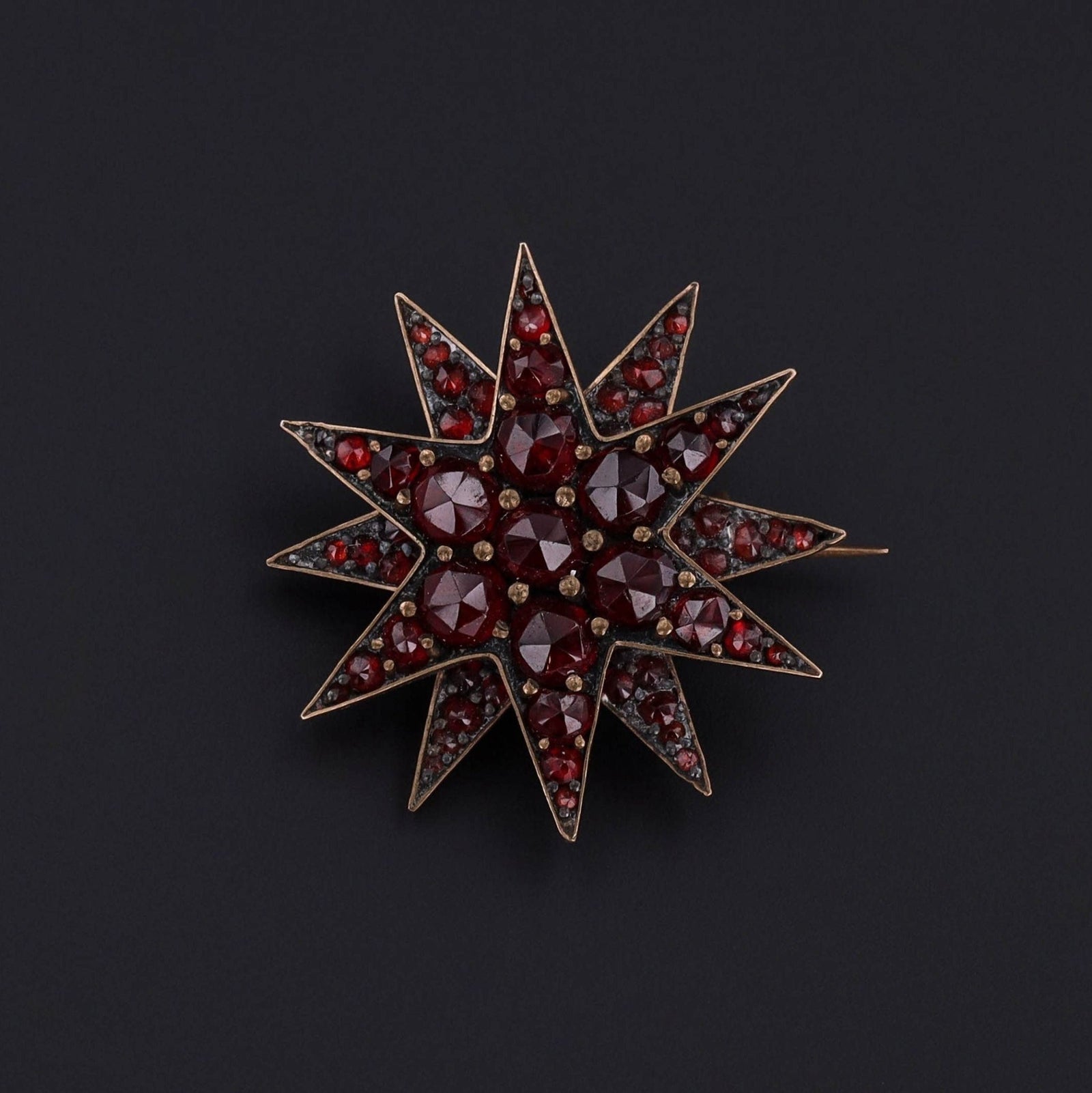 Antique Bohemian Garnet Star Brooch - Trademark Antiques