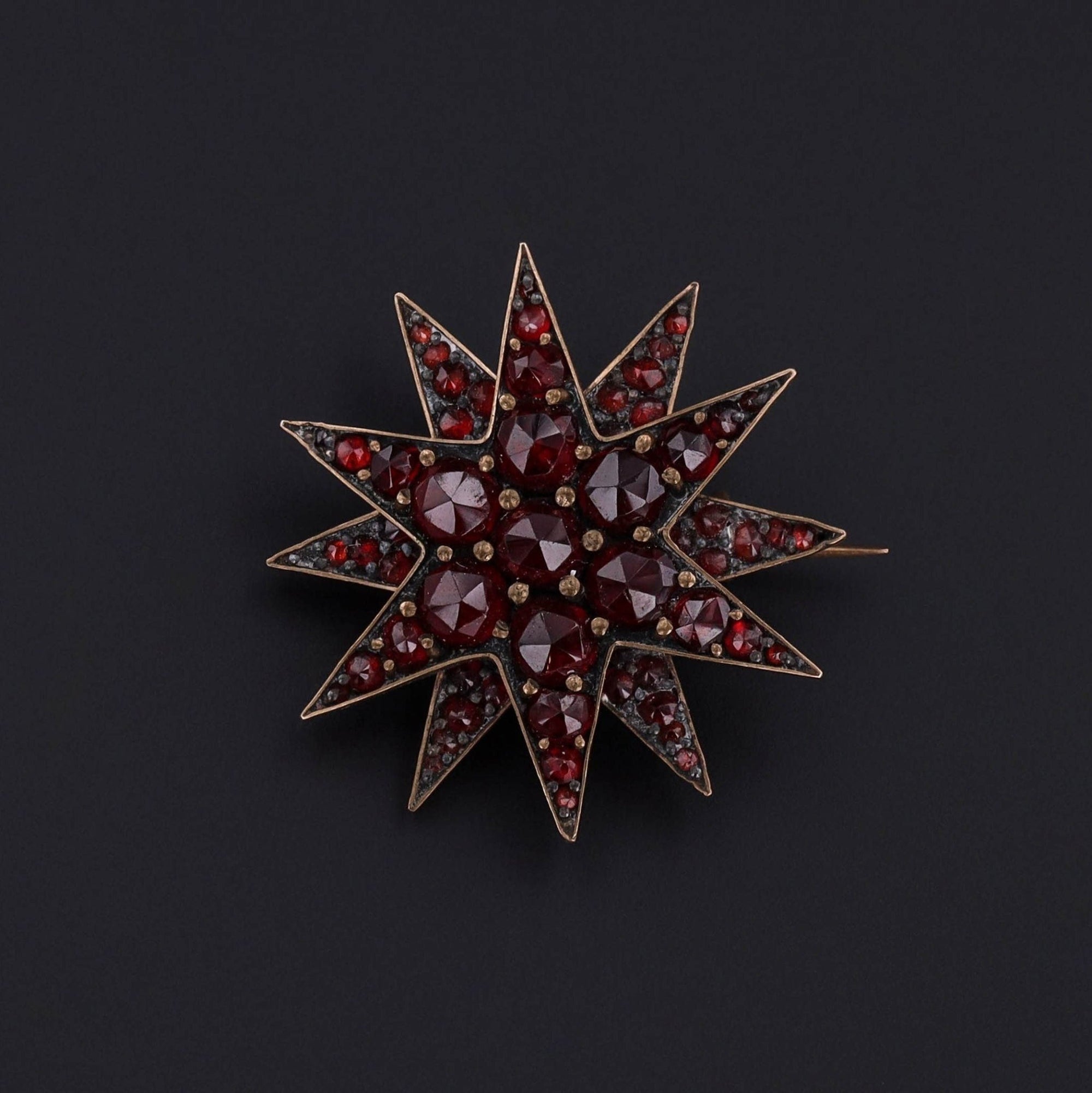 Antique Bohemian Garnet Star Brooch - Trademark Antiques