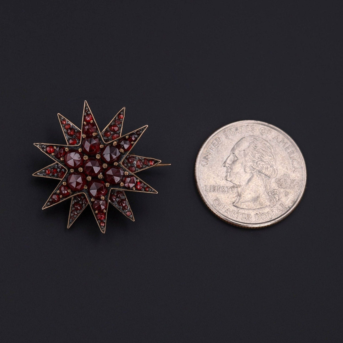 Antique Bohemian Garnet Star Brooch - Trademark Antiques