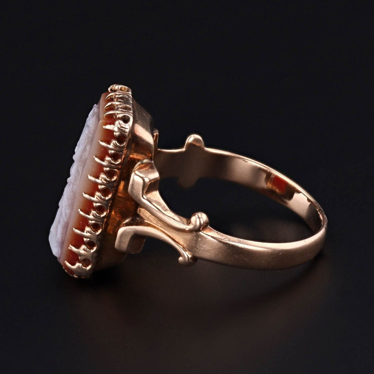 Antique Carved Shell Cameo Ring of 14k Gold - Trademark Antiques