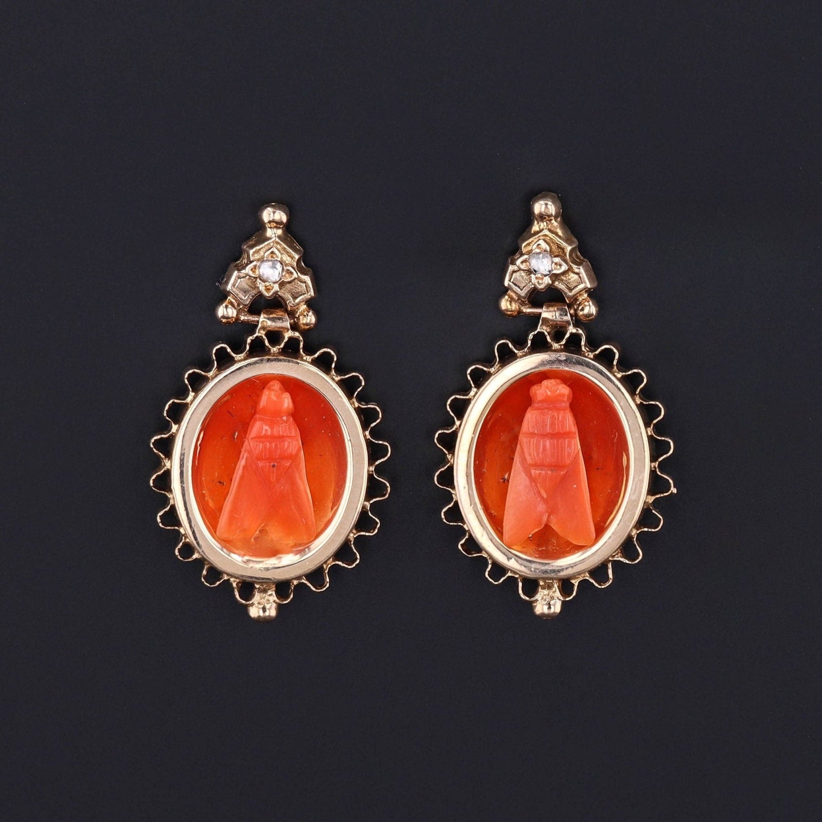Antique Coral Fly Earrings of 14k Gold - Trademark Antiques