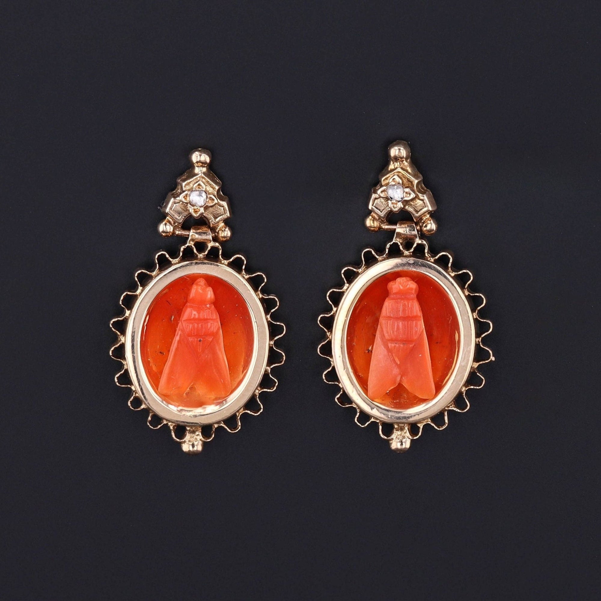 Antique Coral Fly Earrings of 14k Gold - Trademark Antiques