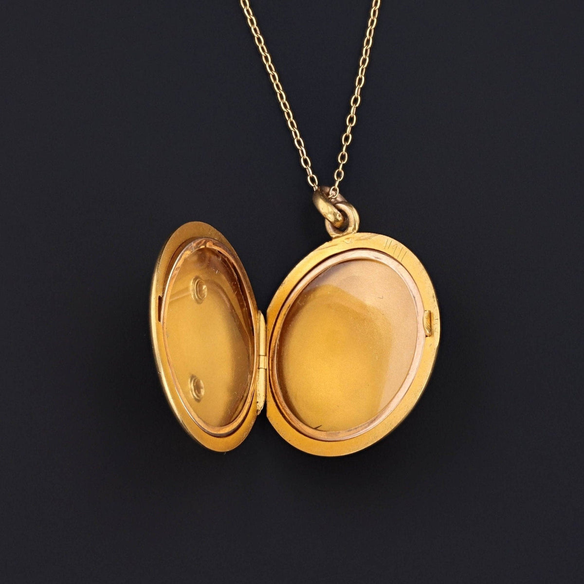 Antique Enamel Tiger Locket of 14k Gold - Trademark Antiques