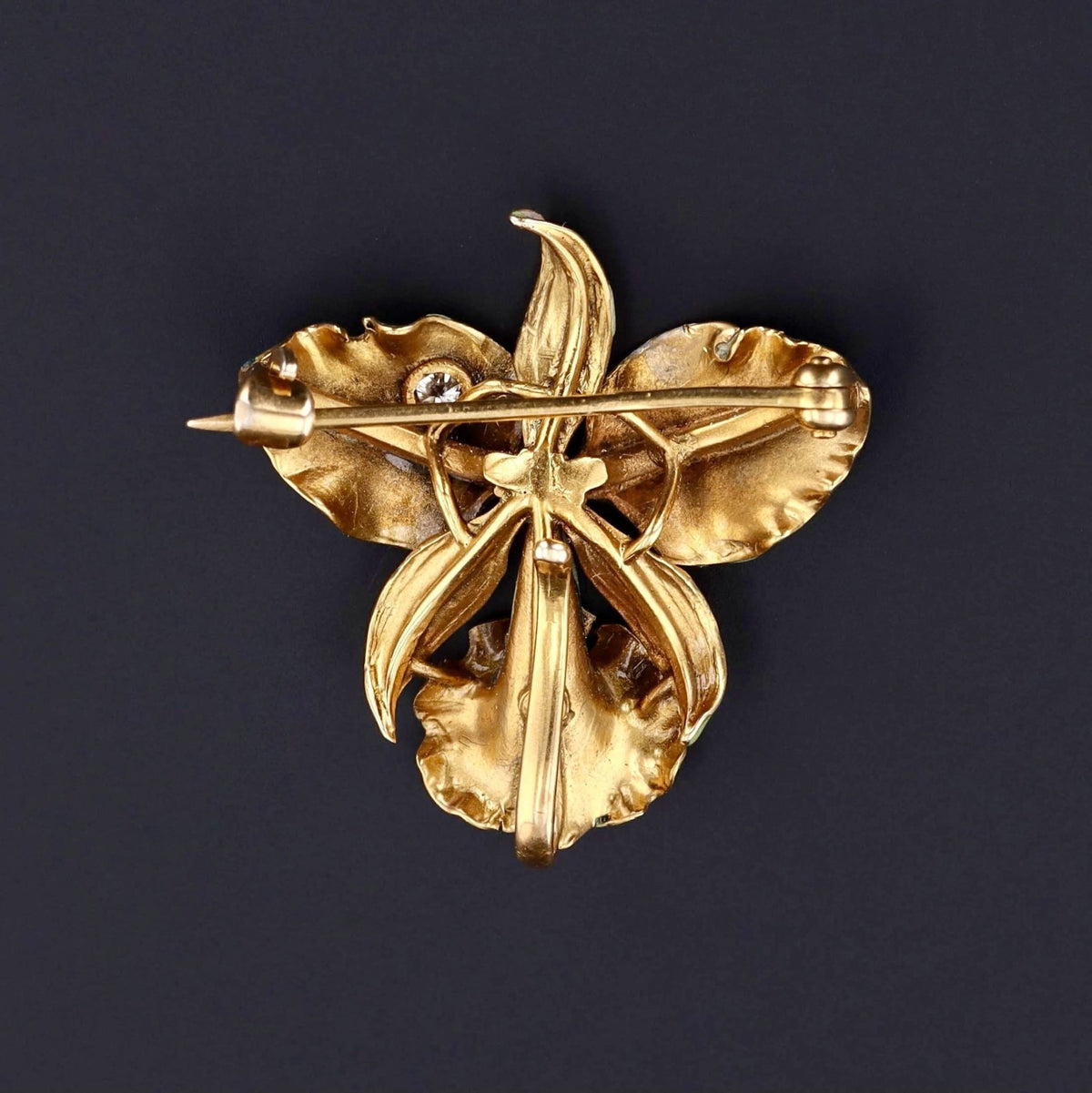 Antique Iris Brooch | 14k Gold Iris Brooch - Trademark Antiques
