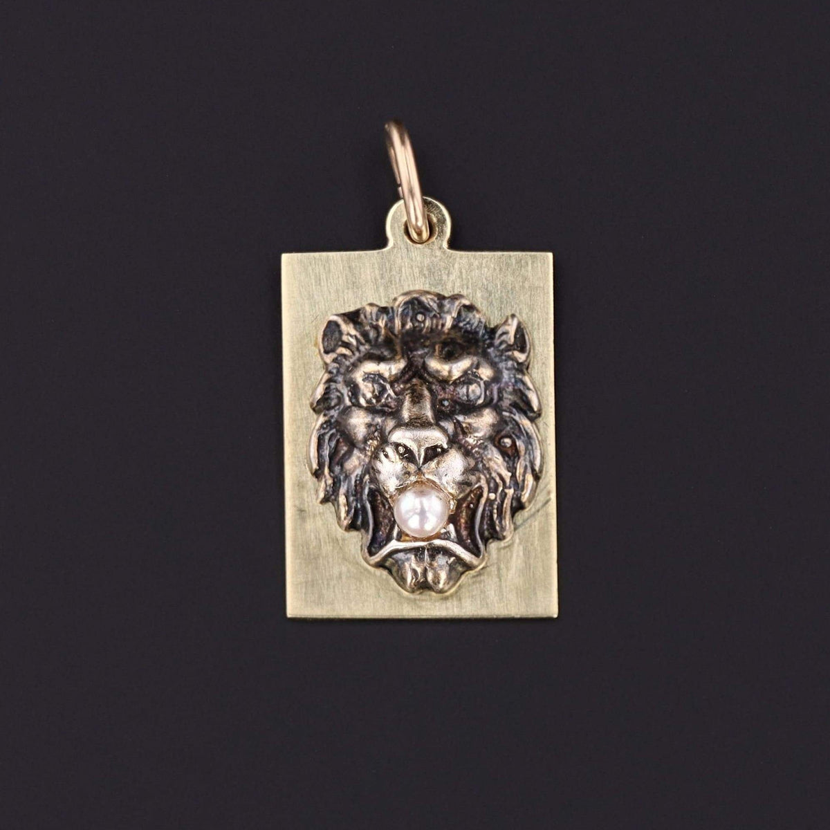 Antique Lion Charm | Pin Conversion - Trademark Antiques