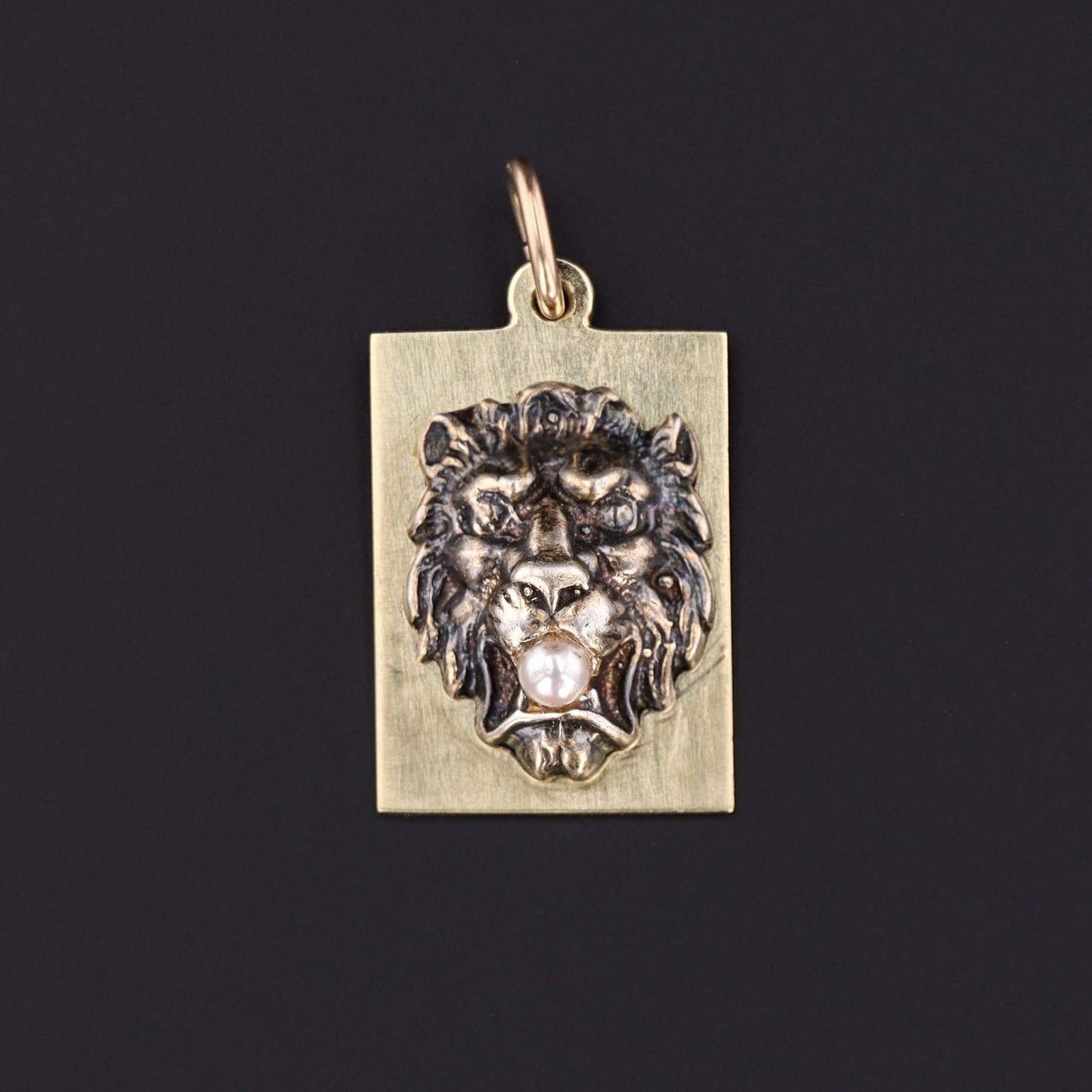 Antique Lion Charm | Pin Conversion - Trademark Antiques