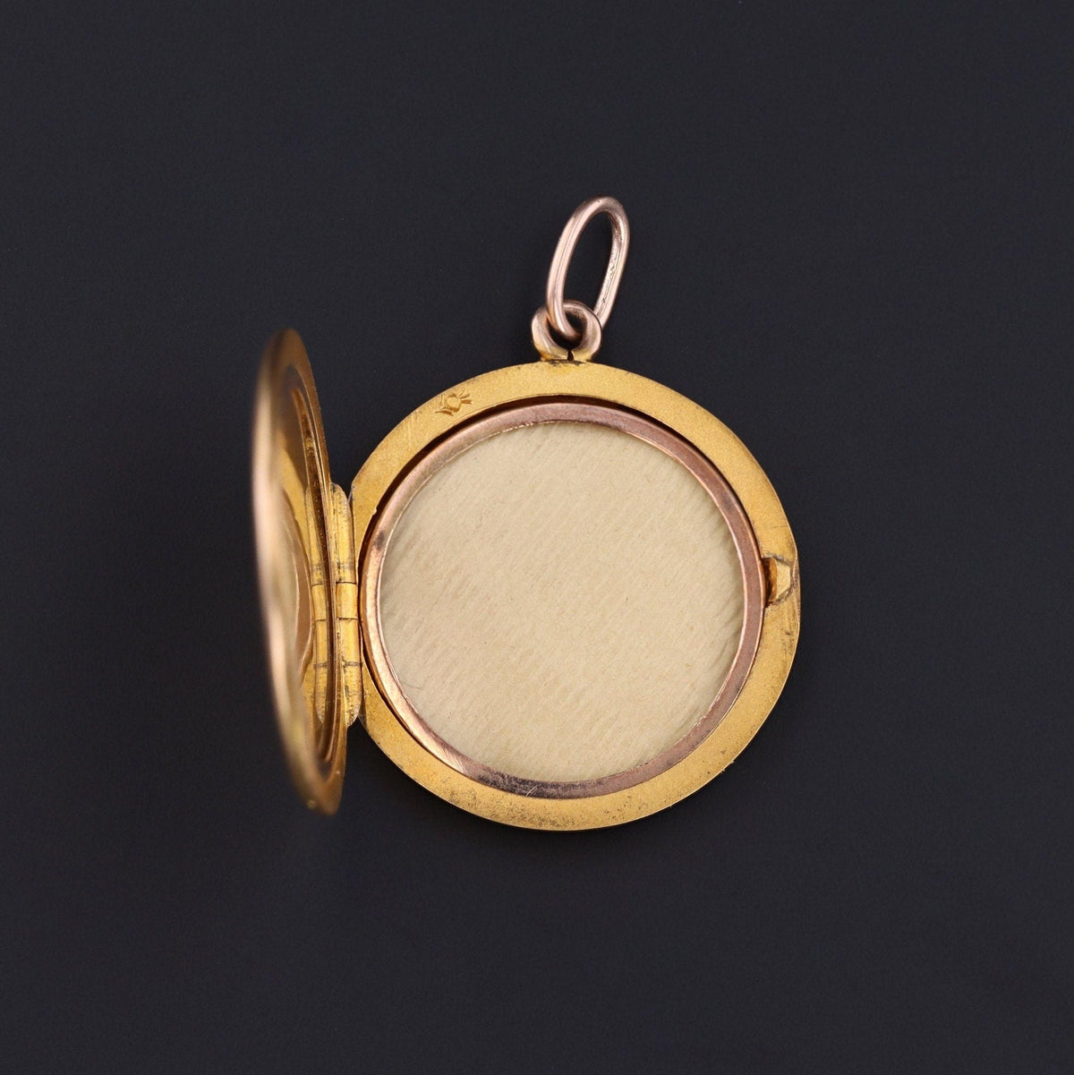 Antique Lion Locket of 14k Gold - Trademark Antiques