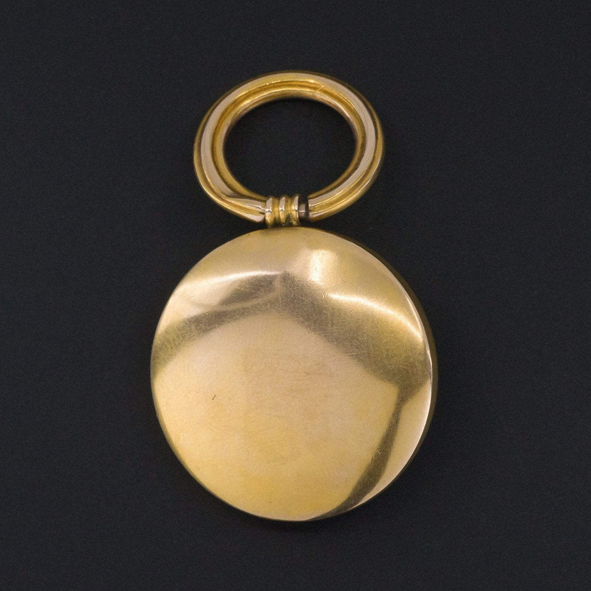 Antique Lion Pendant | 10k Gold Lion Pendant - Trademark Antiques