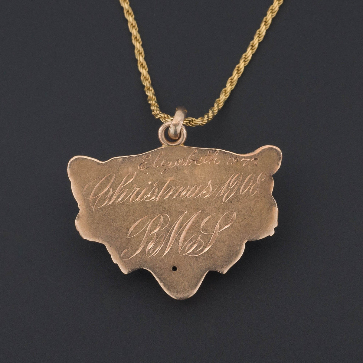 Antique Lion Pendant | 14k Gold Pendant on Optional 18k Chain - Trademark Antiques