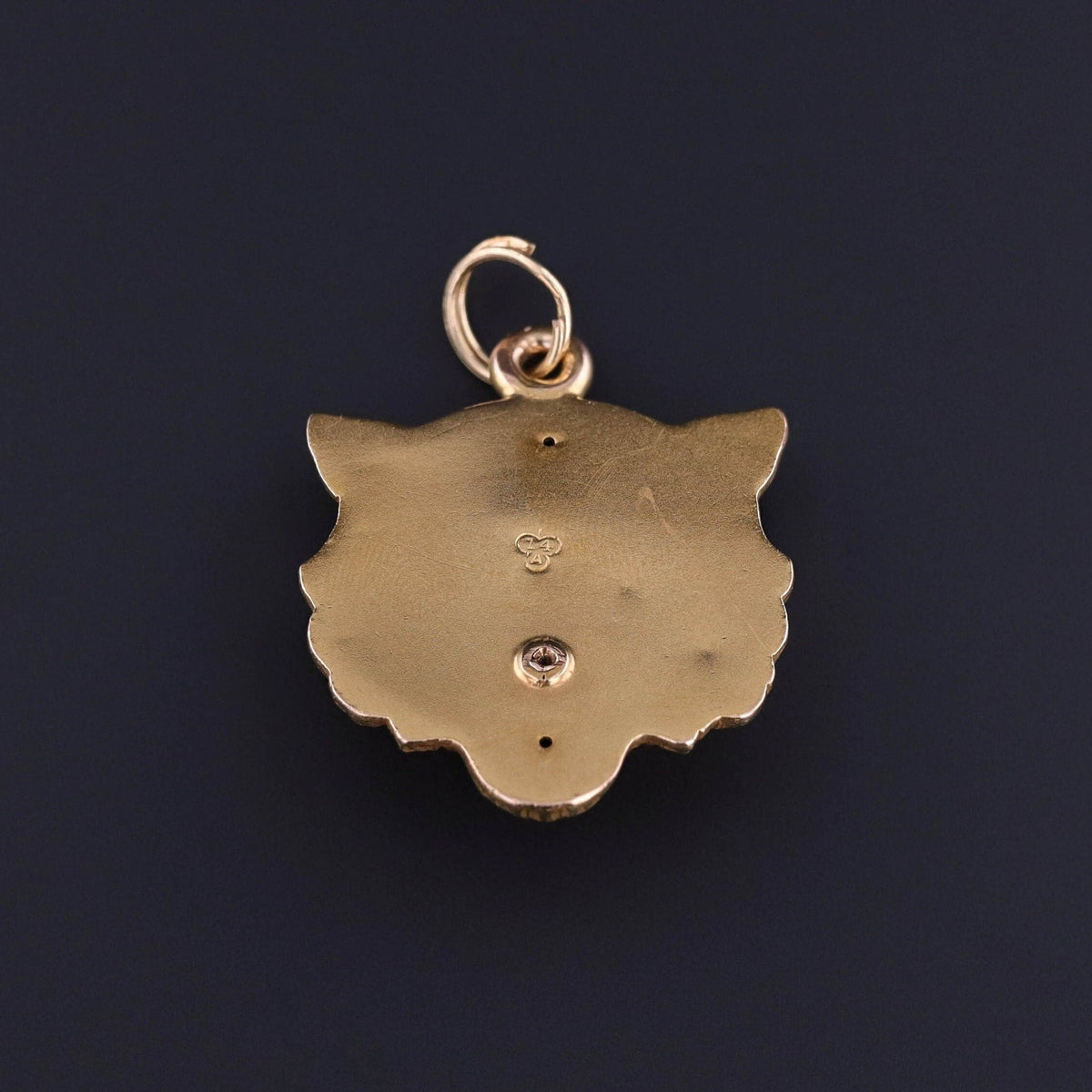 Antique Lion Pendant of 14k Gold - Trademark Antiques