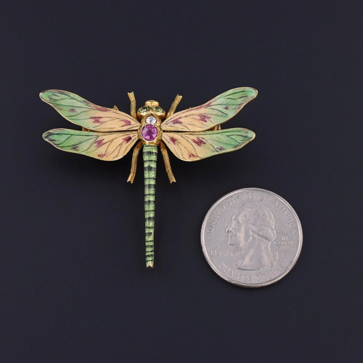 Antique Riker Brothers Dragonfly Brooch of 14k Gold - Trademark Antiques
